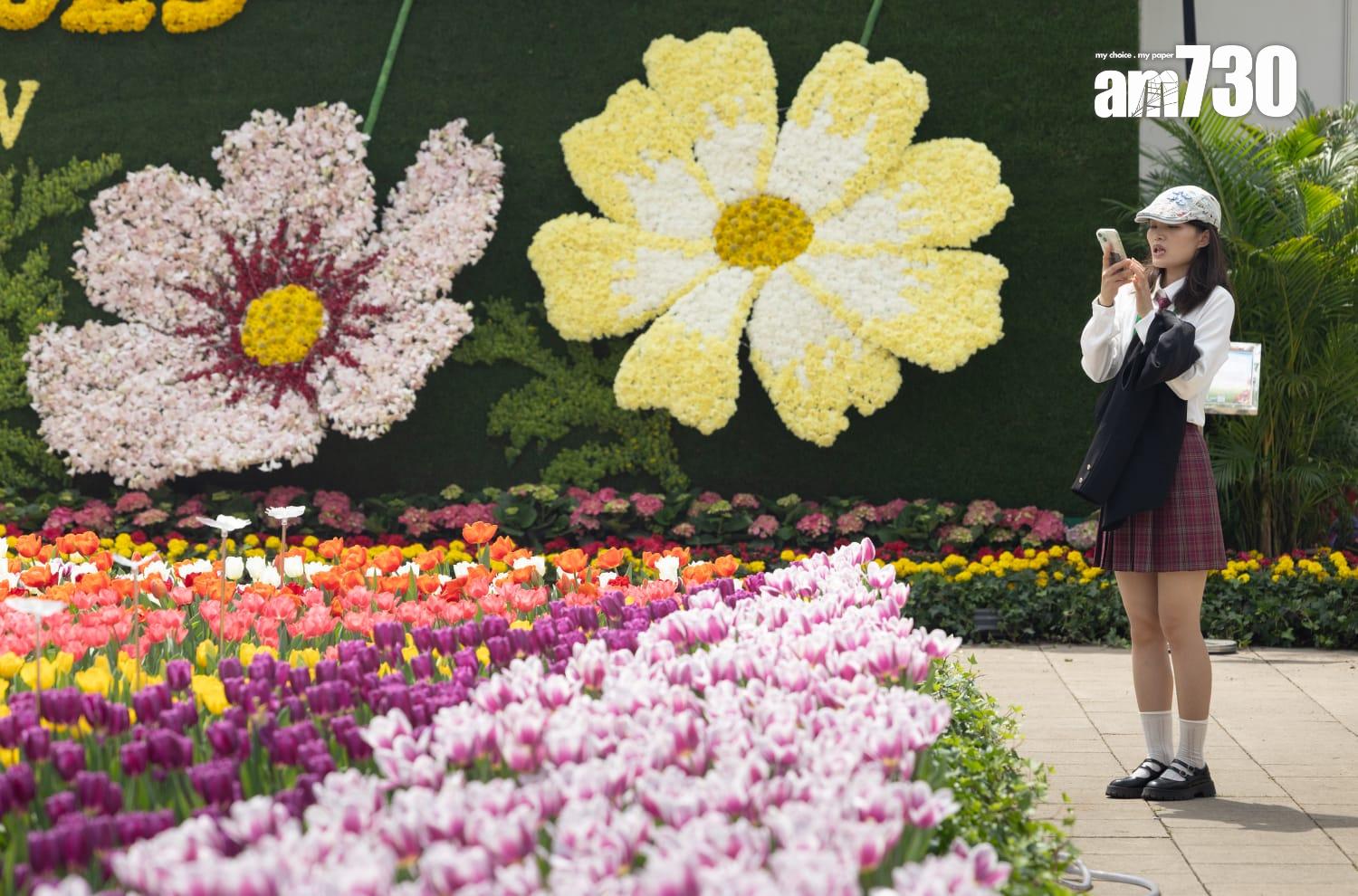 香港花卉展覽2025(蘇文傑攝)