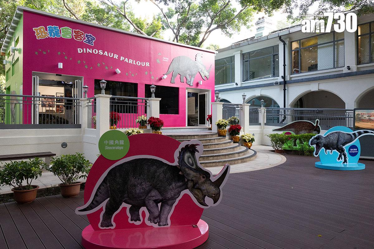 「恐龍會客室」開放兩個月吸引逾4.2萬人次到訪。(資料圖片/蘇文傑攝)