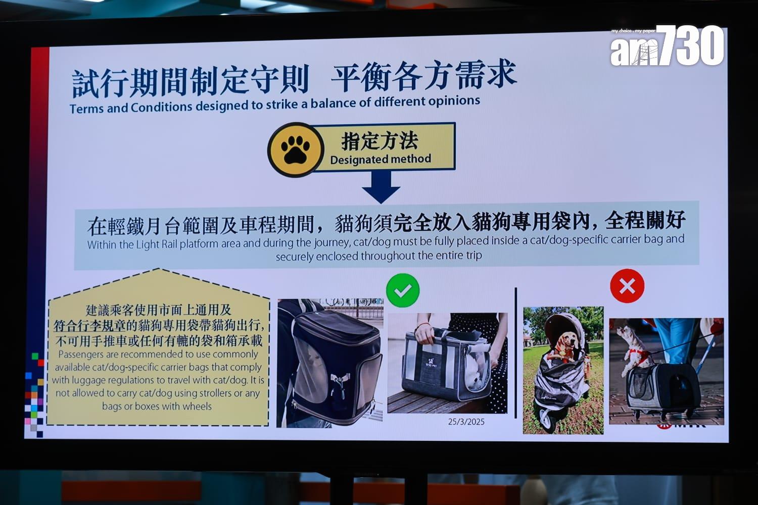港鐵公司輕鐵「貓狗同行」試行計劃( 羅錦鴻攝)