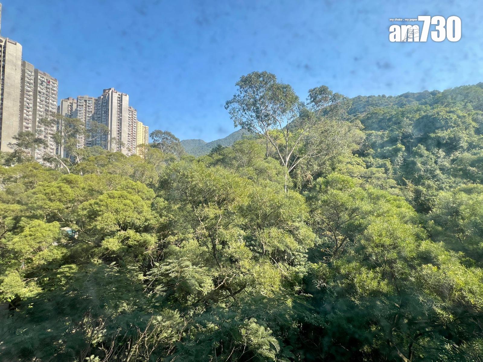 年輕客趕白居二資格屆滿前入市 斥165萬買沙田廣源邨(有圖)|二手公屋成交