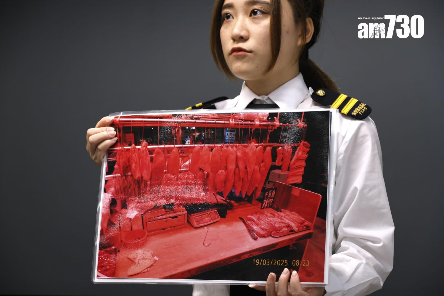 葵涌將軍澳兩肉檔冷藏牛肉扮新鮮肉,食環署銷毀封存303公斤貨。(林俊源攝)