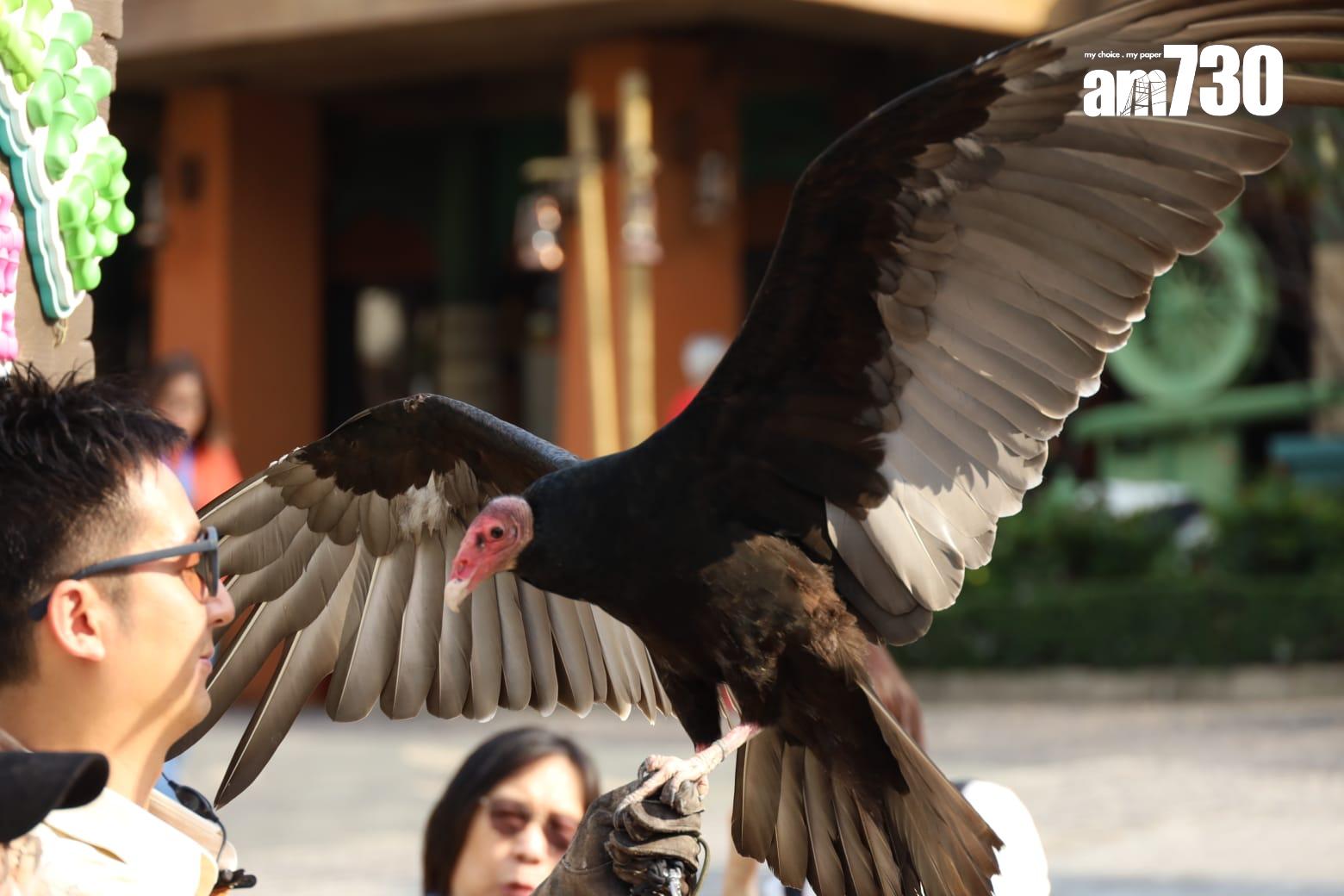 其他活動及美食。(鍾式明攝)