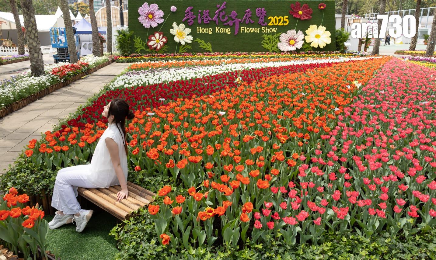 香港花卉展覽2025(蘇文傑攝)