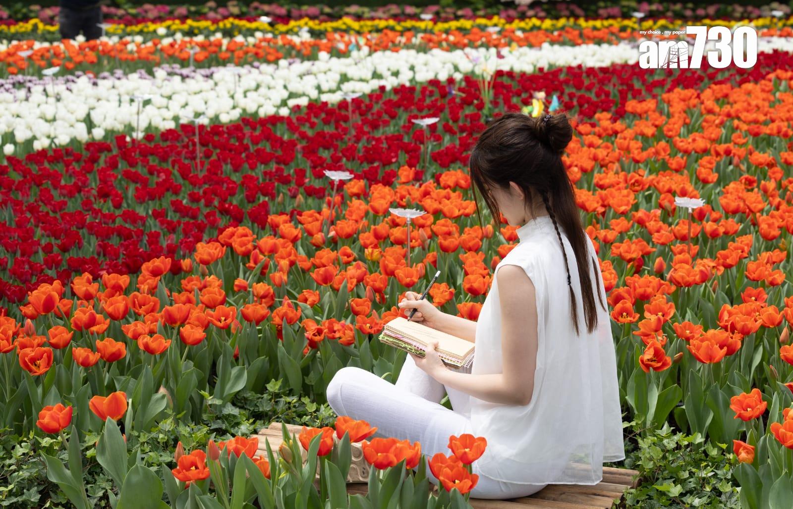 香港花卉展覽2025(蘇文傑攝)