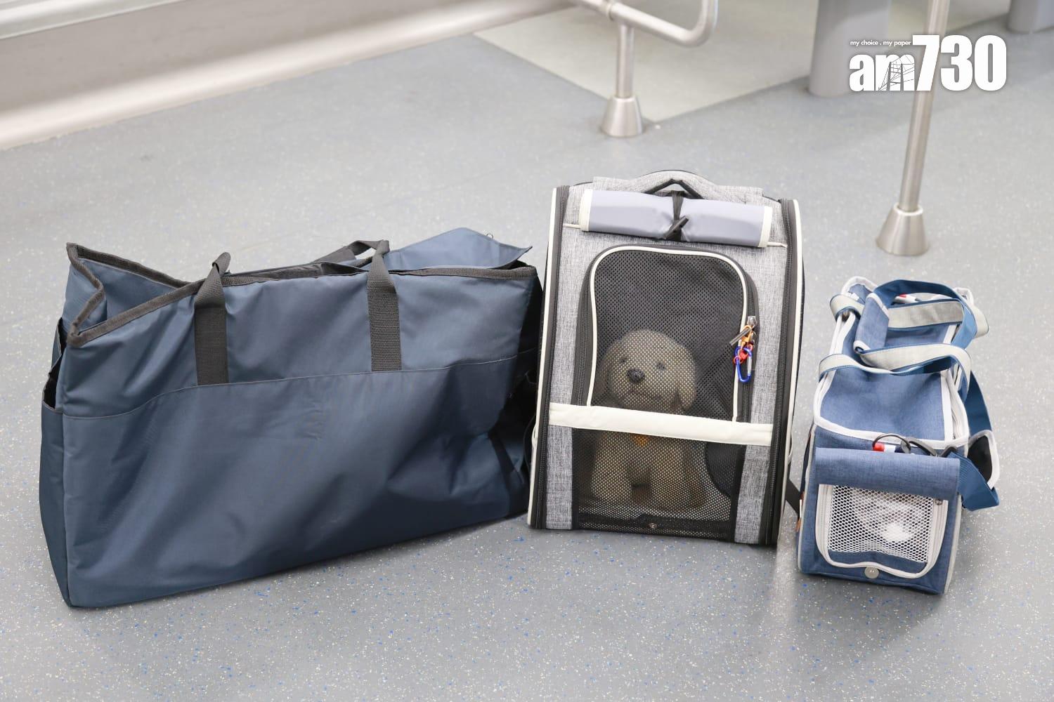 港鐵公司輕鐵「貓狗同行」試行計劃( 羅錦鴻攝)