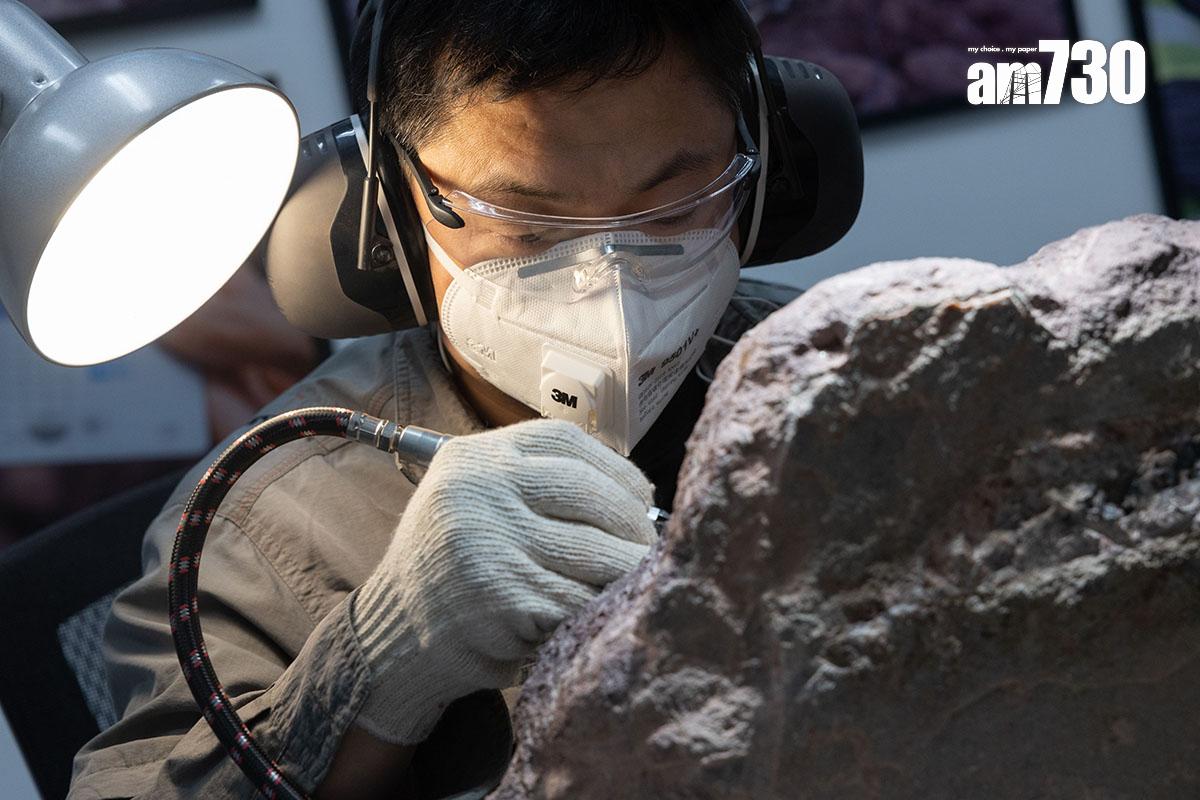 「恐龍會客室」的訪客可近距離觀看專家和工作人員清修恐龍化石。(資料圖片/蘇文傑攝)