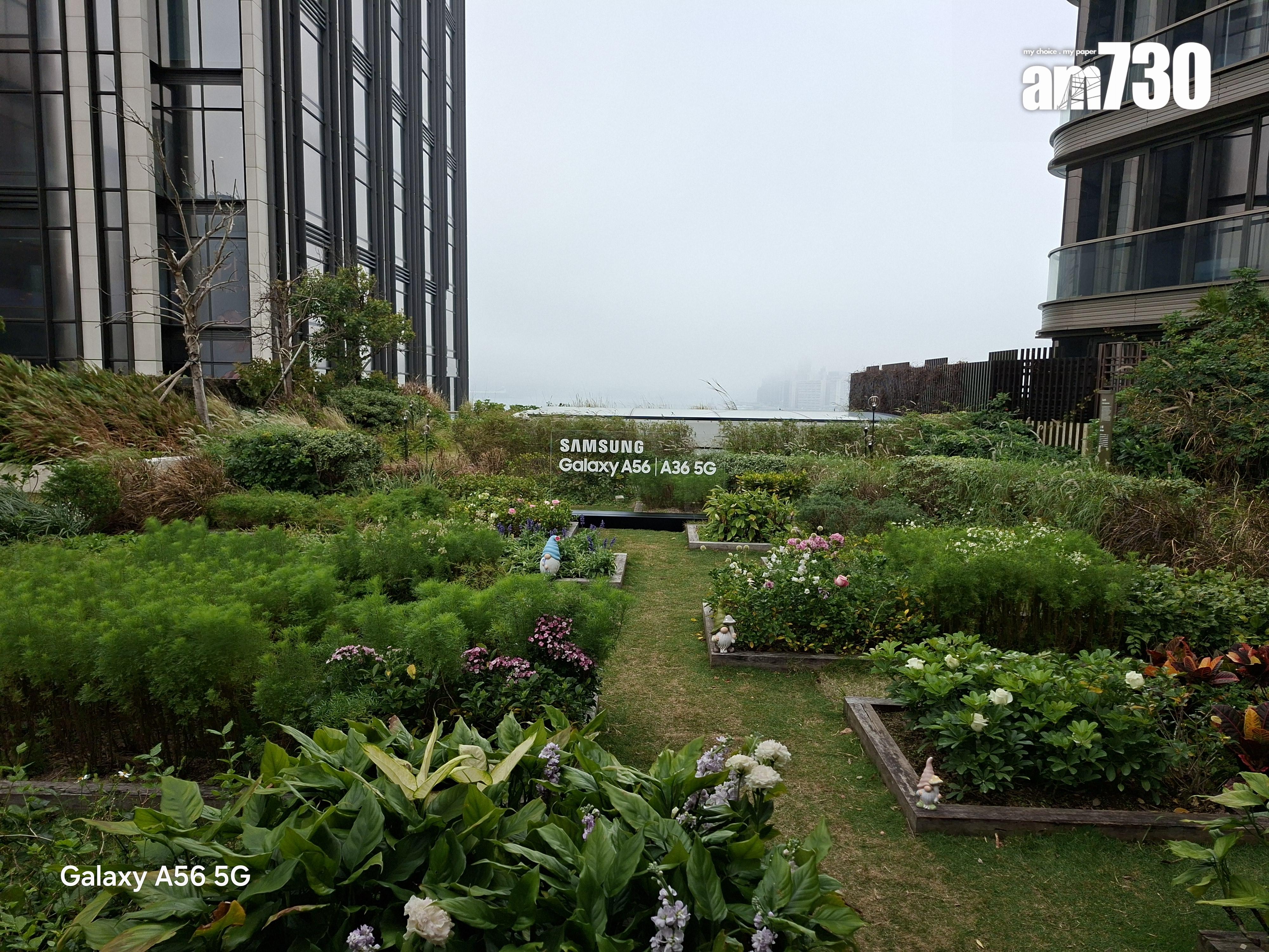 Samsung Galaxy A56廣角鏡試相。