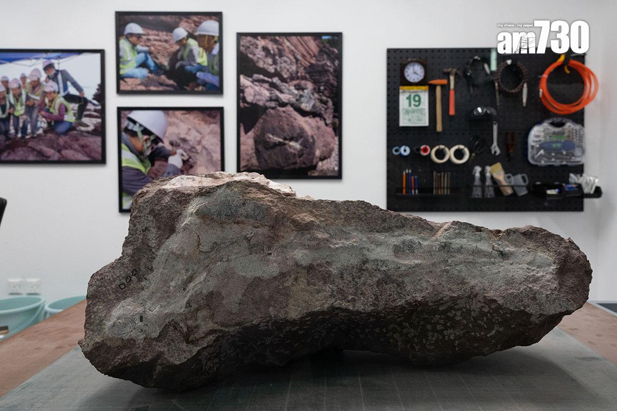 「恐龍會客室」的訪客可近距離觀看專家和工作人員清修恐龍化石。(資料圖片/蘇文傑攝)