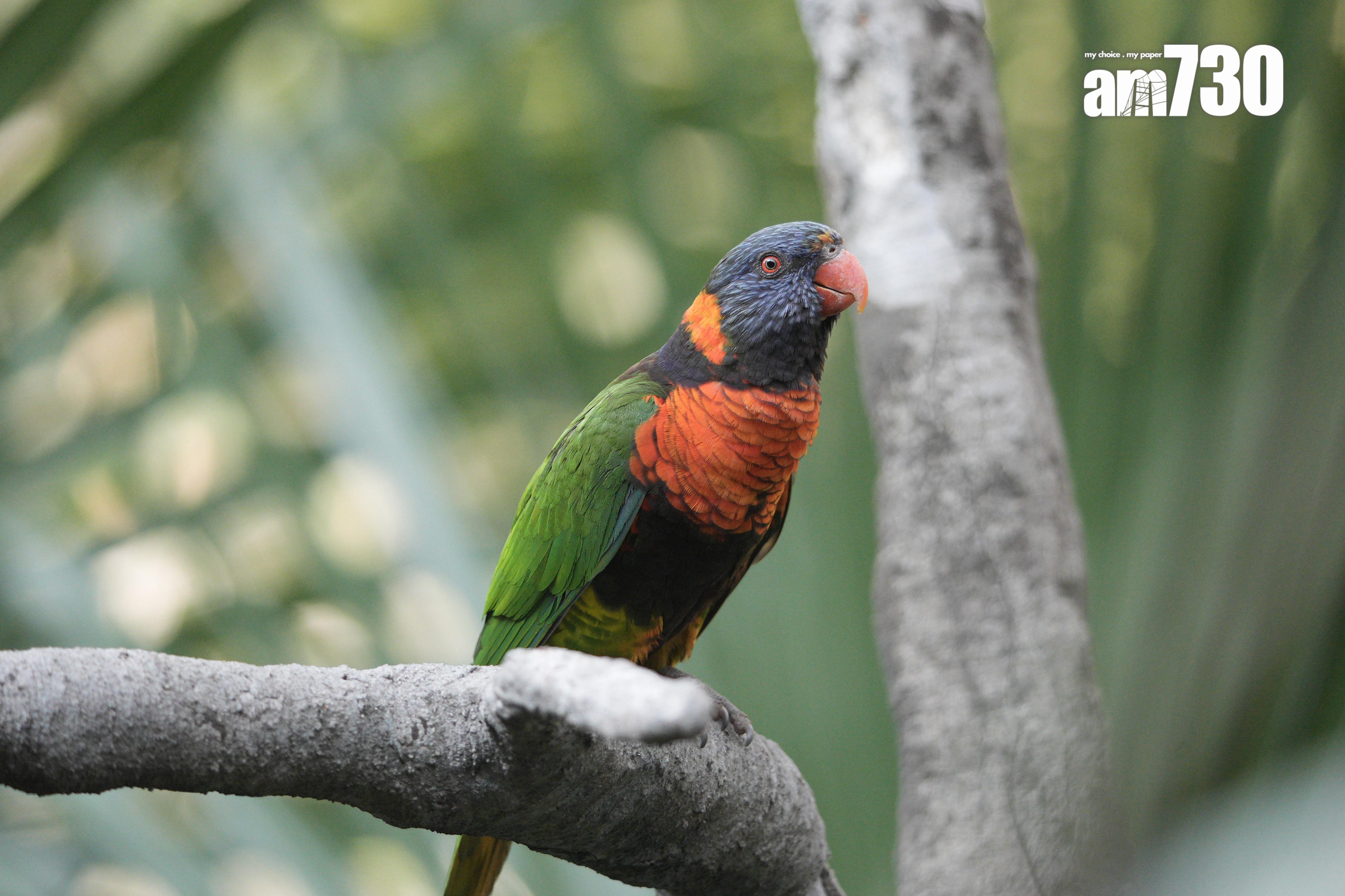 Sony SEL400800G試相。