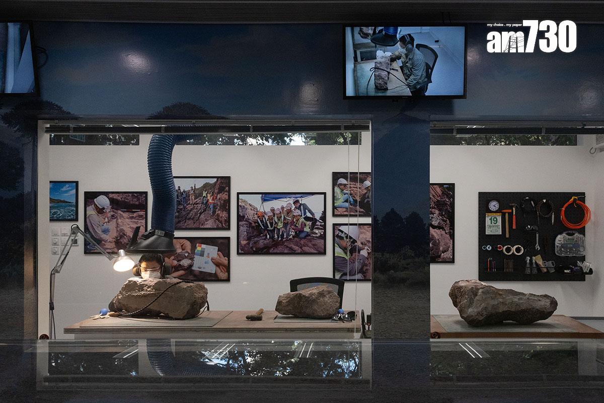 「恐龍會客室」的訪客可近距離觀看專家和工作人員清修恐龍化石。(資料圖片/蘇文傑攝)