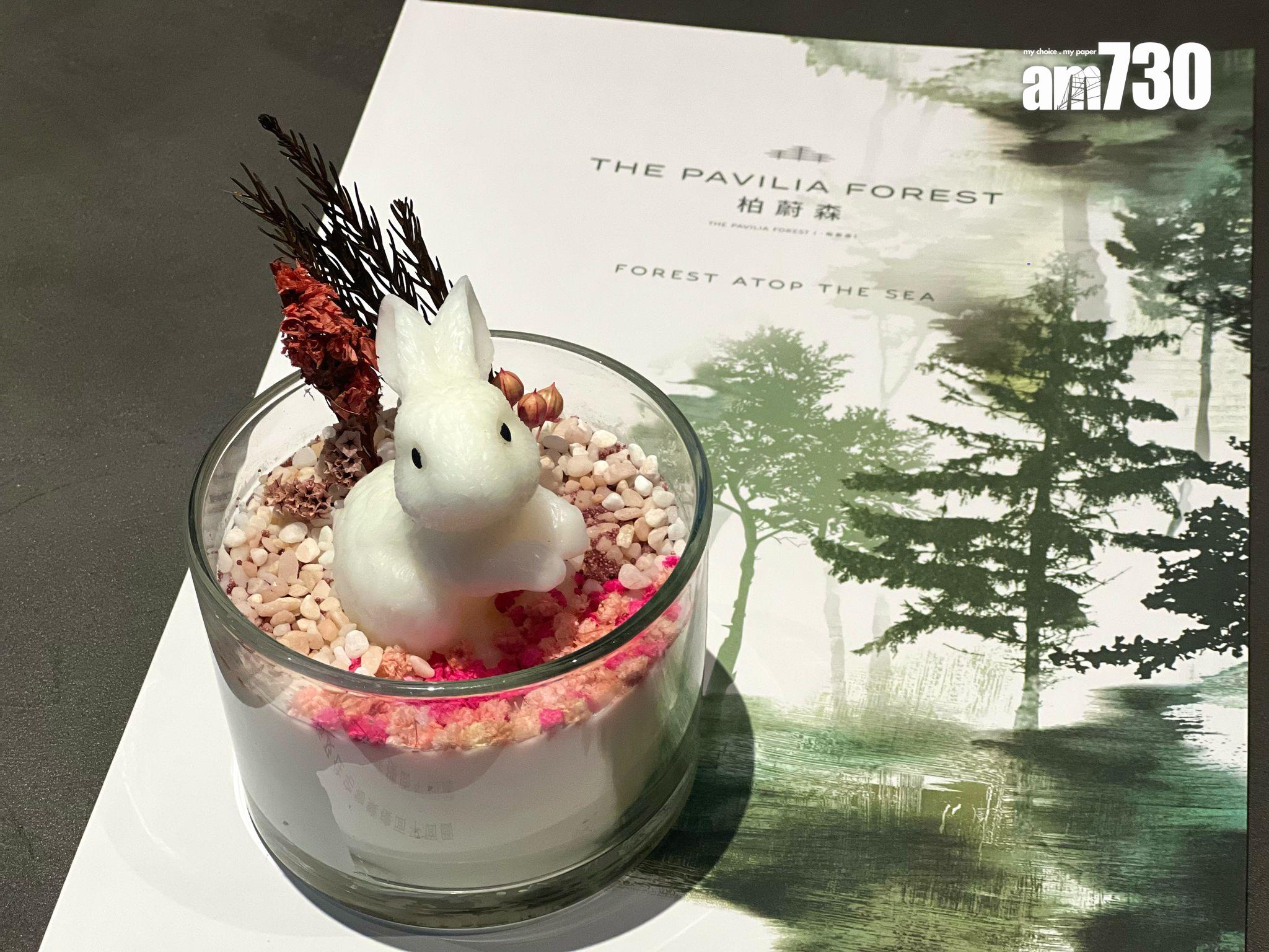 柏蔚森兩房近654萬沽 辦復活節奇趣「森」悅工作坊|啟德新盤