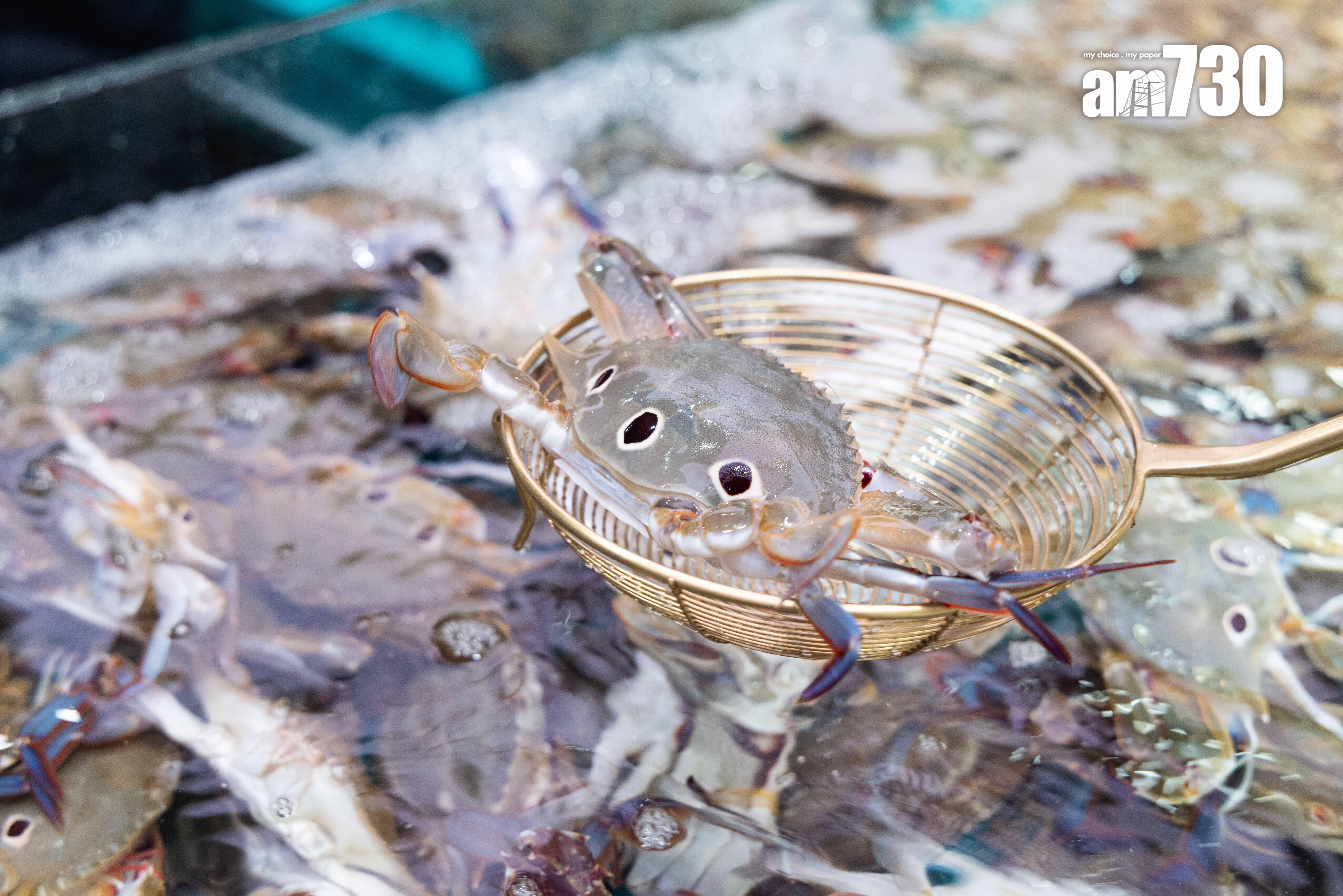 客人可任食活蟹。