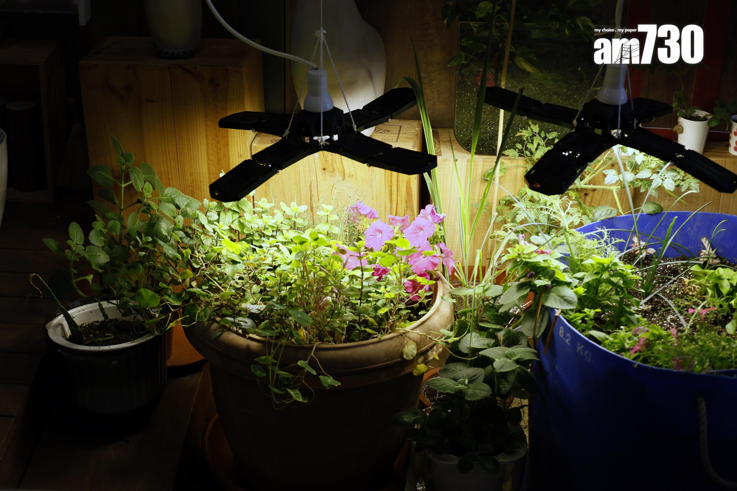 校方特意開闢的「探索自然區」,區內種植多種植物及飼養不同小動物。 (林俊源攝)