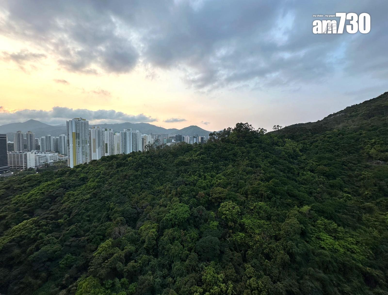 小業主減價止蝕!沙田靚裝三房套持貨8年輸50萬(多圖)|二手蝕讓