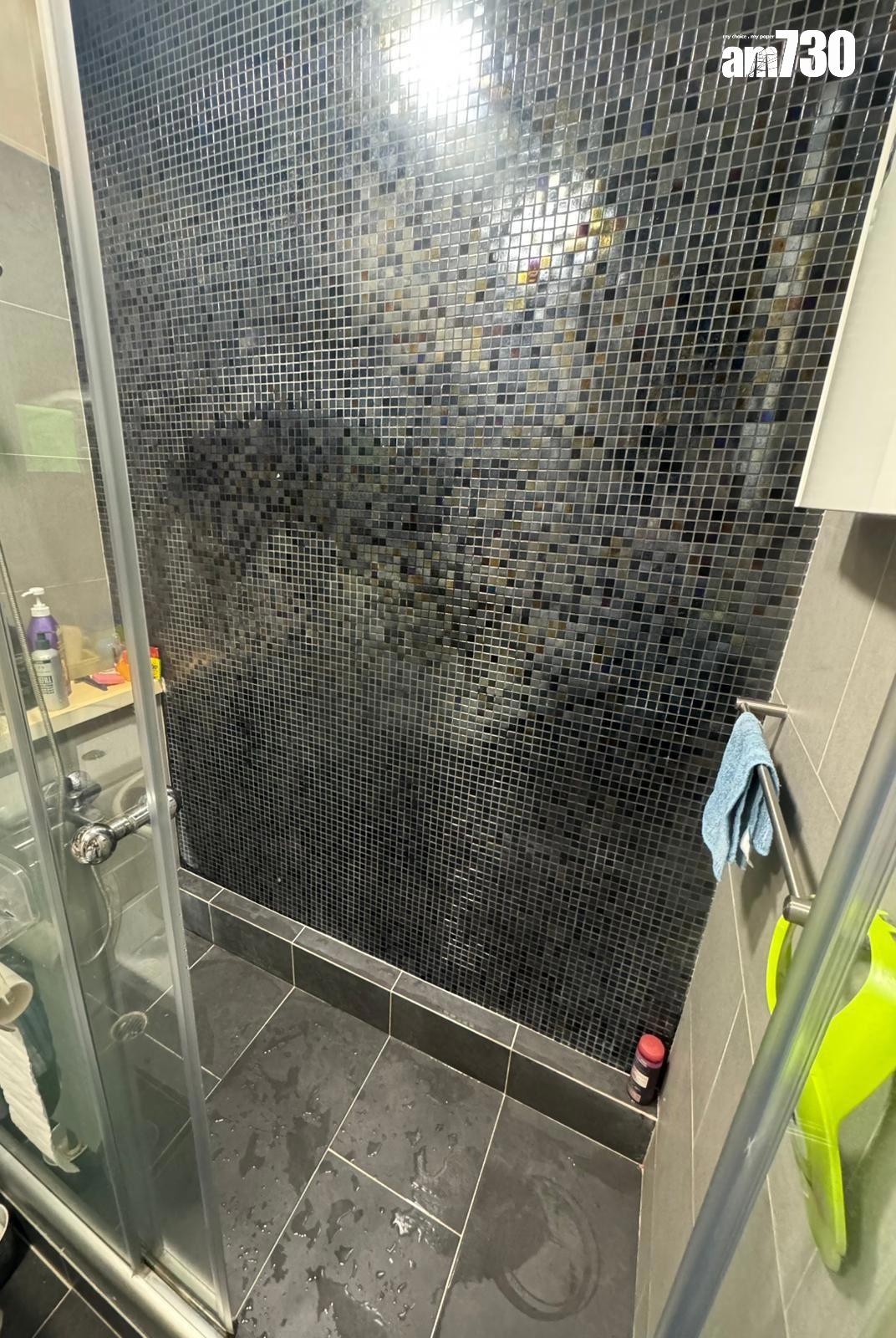 馬鞍山雅濤居兩房「蝕本價」放盤 5年帳輸兩成甩身(有圖)|二手蝕讓