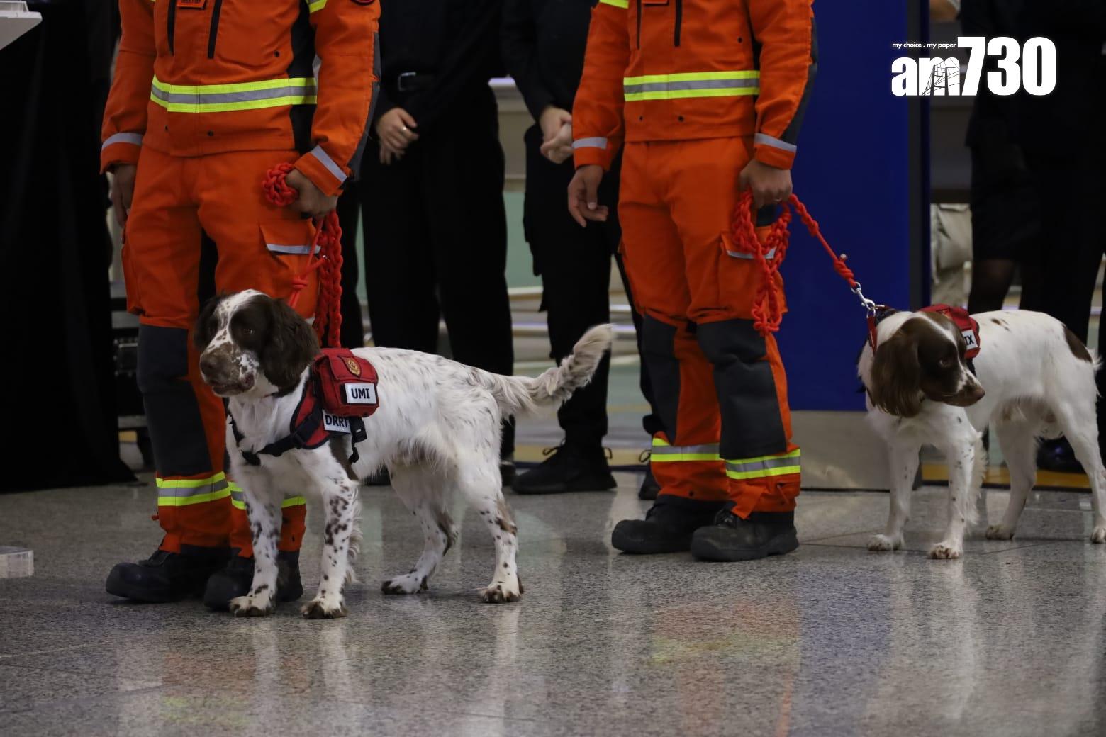 特區救援隊完成緬甸地震災區搜救任務返抵本港,政府舉行迎接儀式。(鍾式明攝)