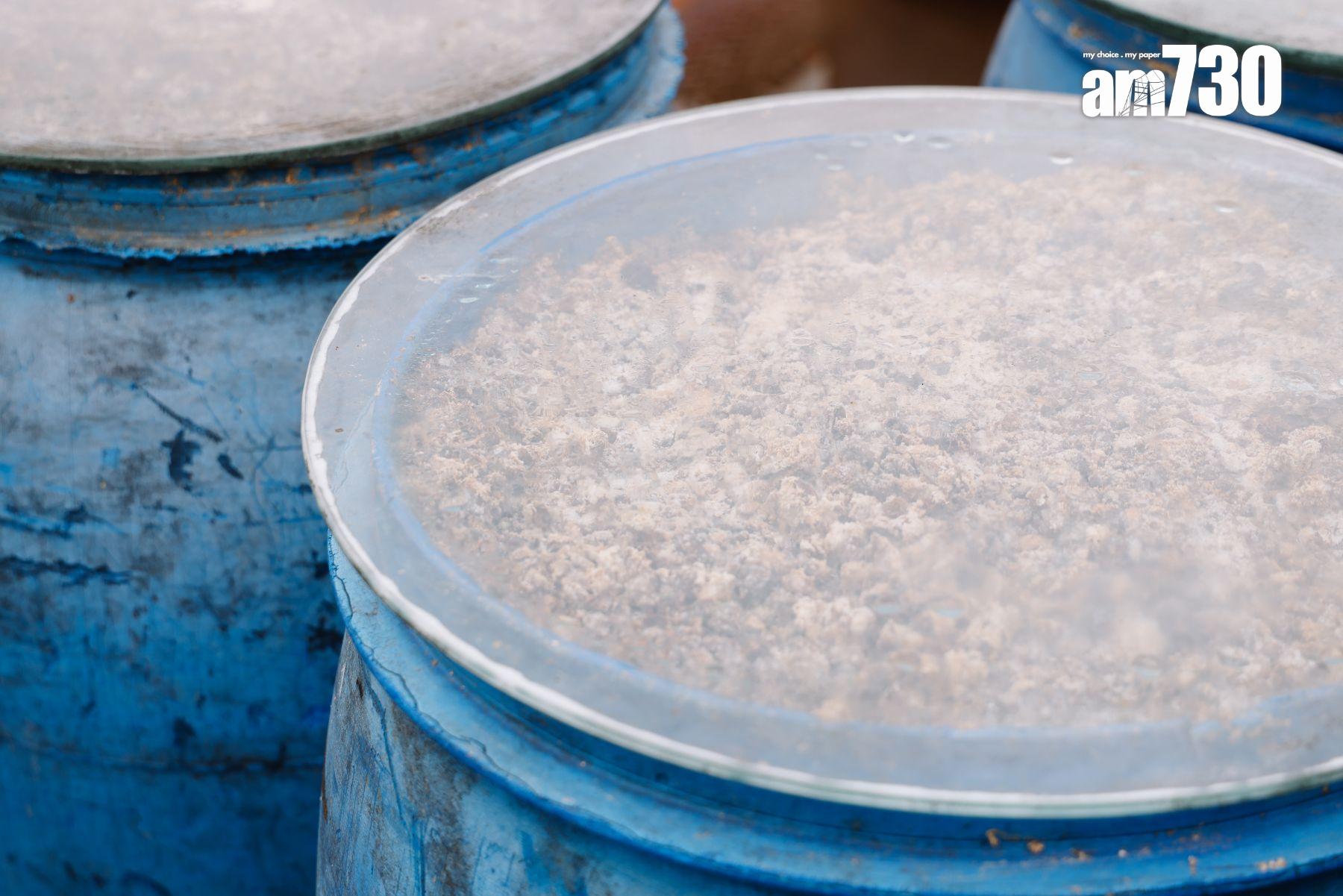 鹽水及米麴菌有助發酵。(攝:吳康琦)