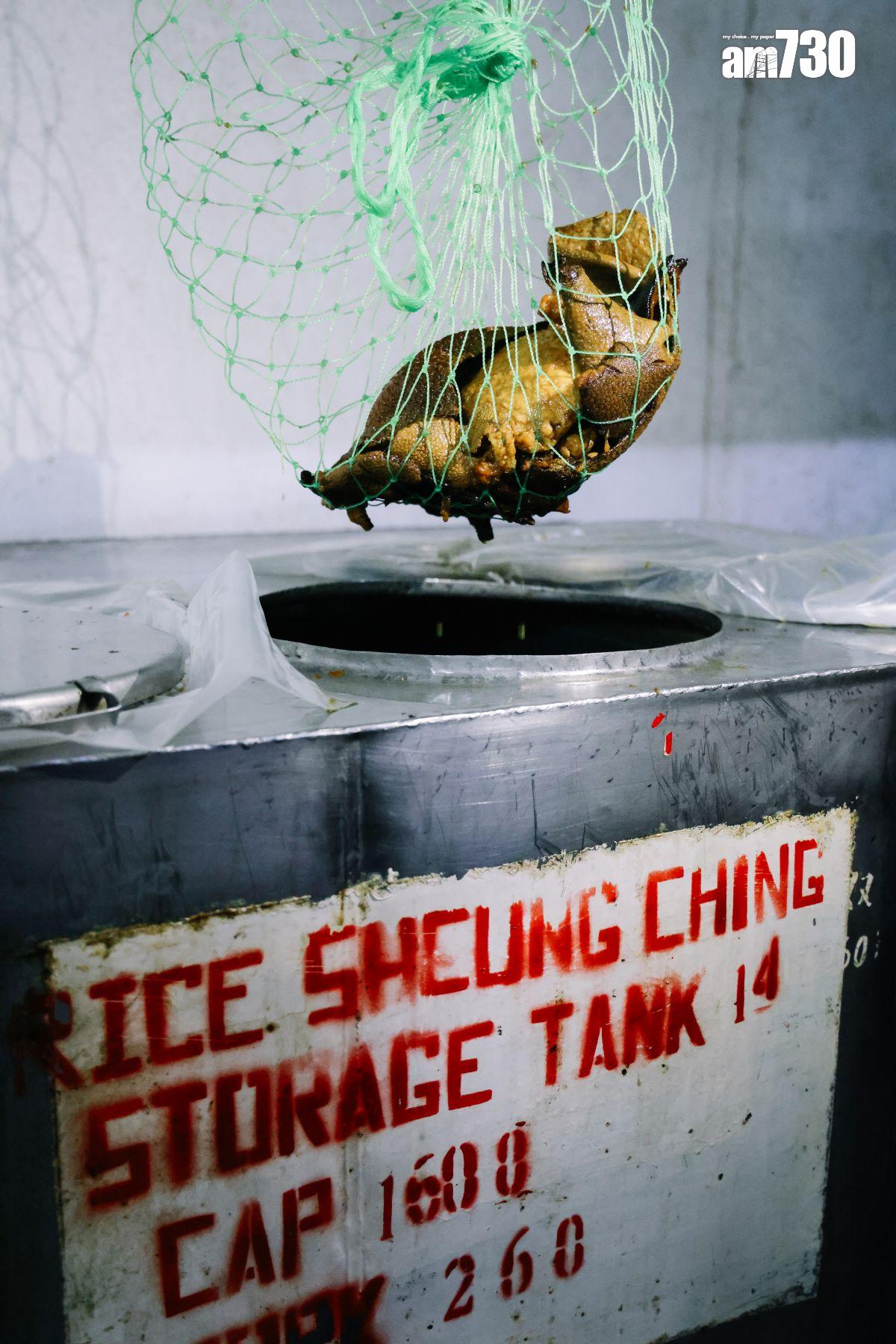 玉冰燒用最肥豬腩肉浸3至4個月釀製而成,脂肪會溶於酒精之中,令酒多了香味及醇厚。(攝:吳康琦)