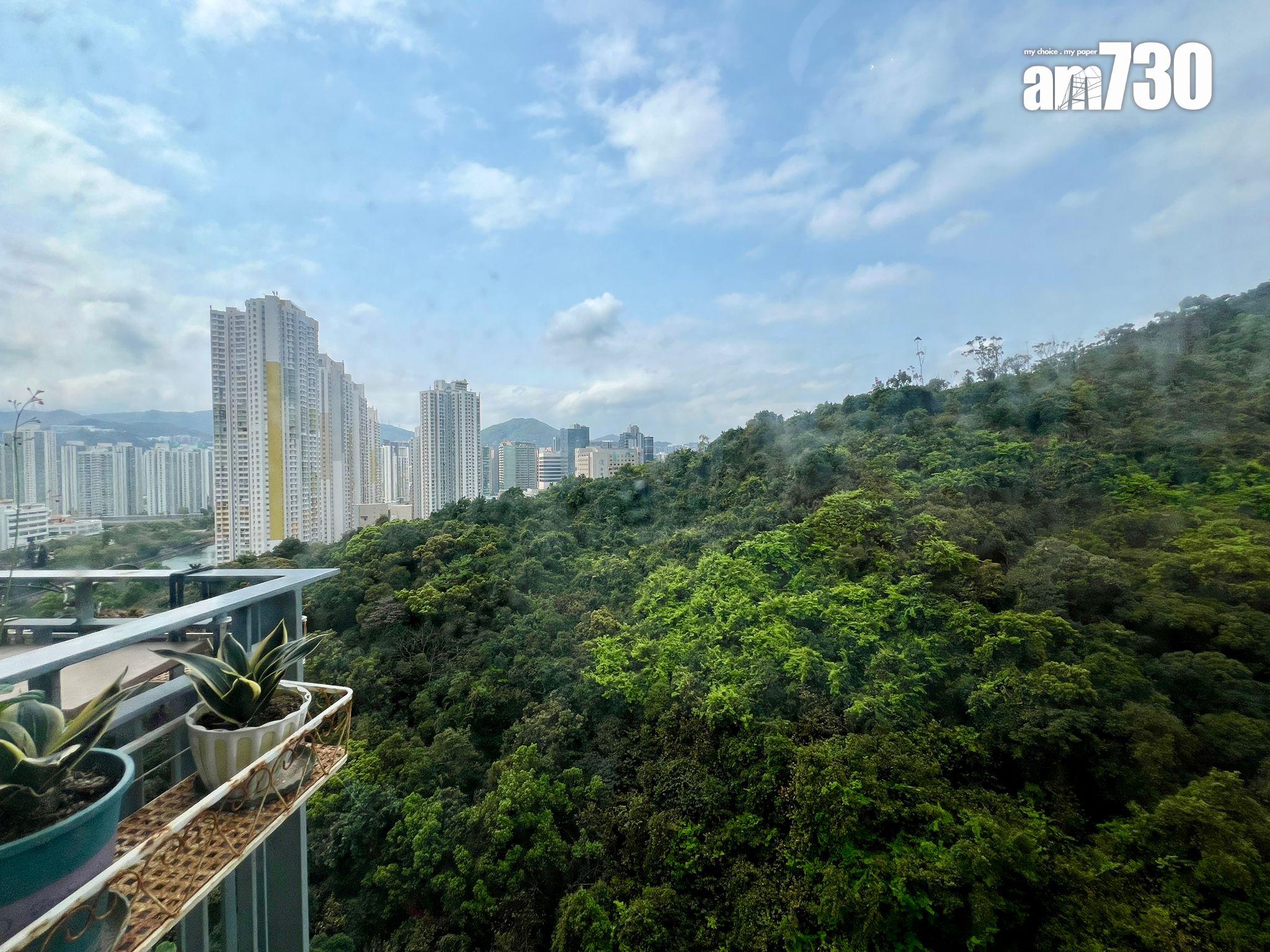 業主肯減價 優質戶速有承接 沙田綠怡雅苑三房551萬連裝修成交(有圖)|二手市況