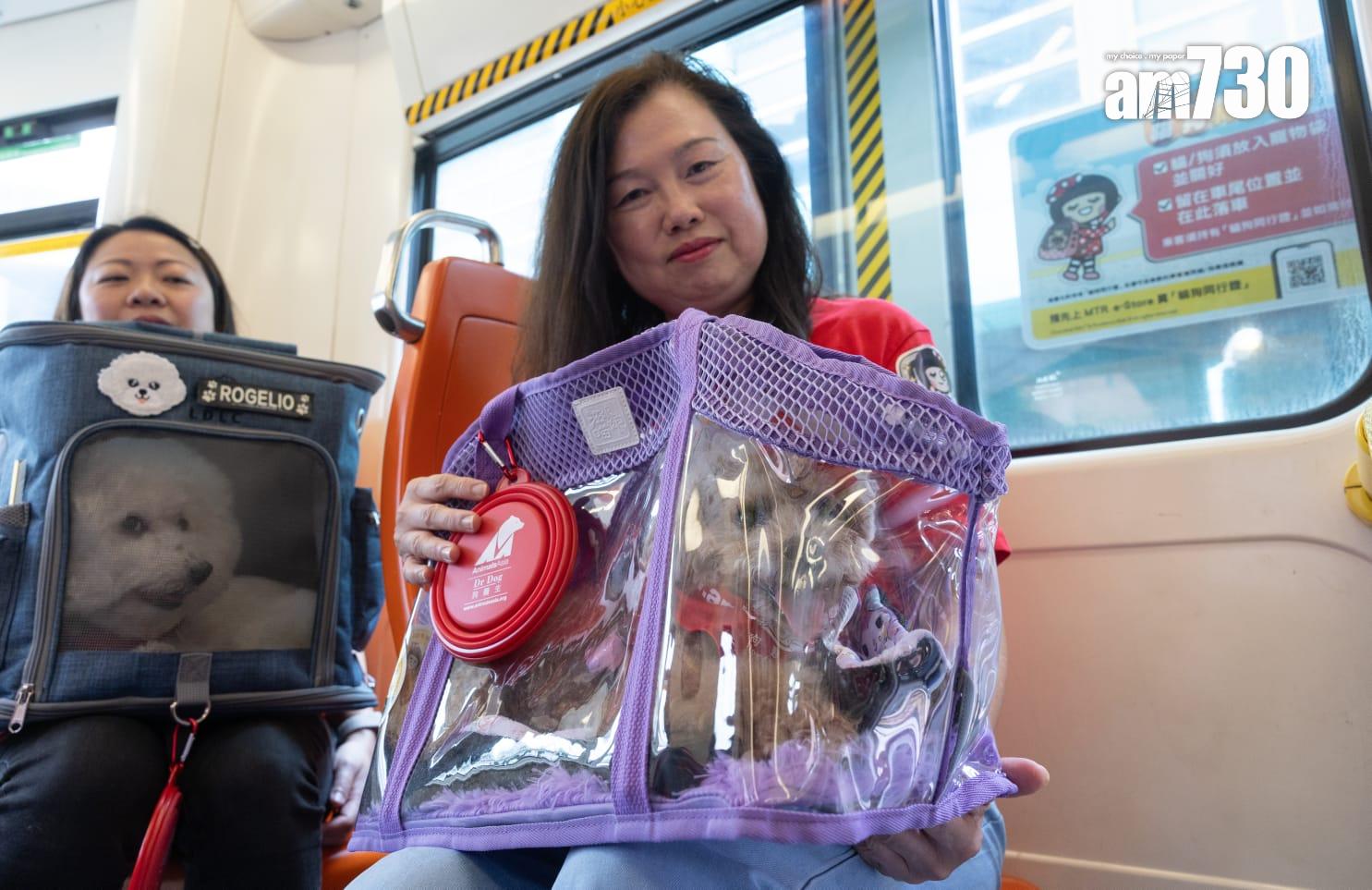 輕鐵今日起試行為期兩個月的「貓狗同行」計劃。(蘇文傑攝)