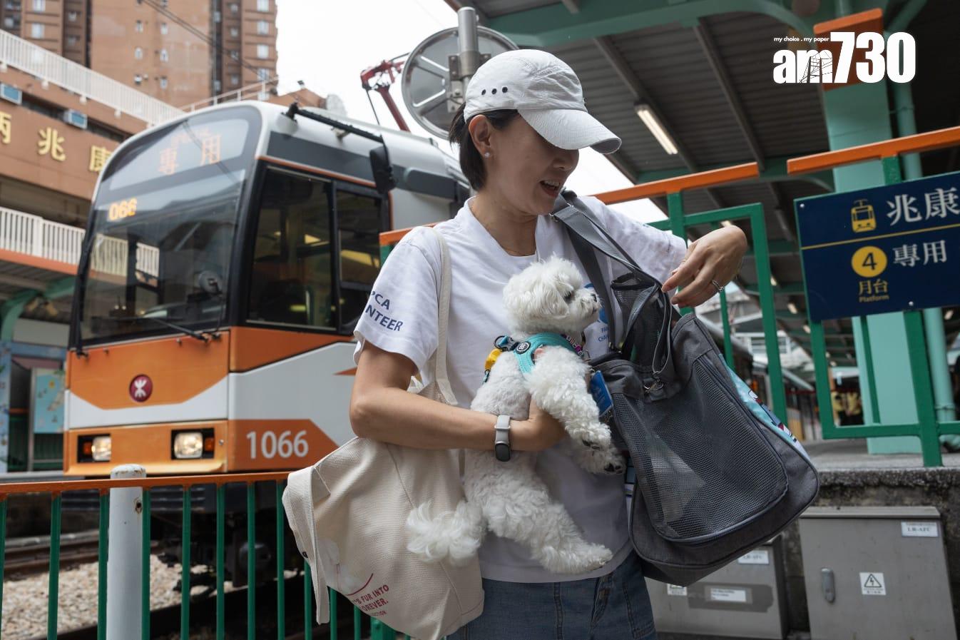 輕鐵今日起試行為期兩個月的「貓狗同行」計劃。(蘇文傑攝)