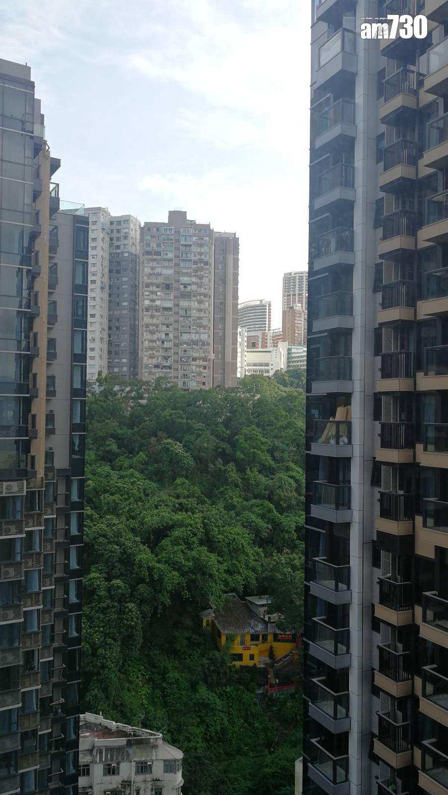 今年成交全部輸錢!北角柏蔚山三房大蝕讓 7年損手近千萬(有圖)|二手市況