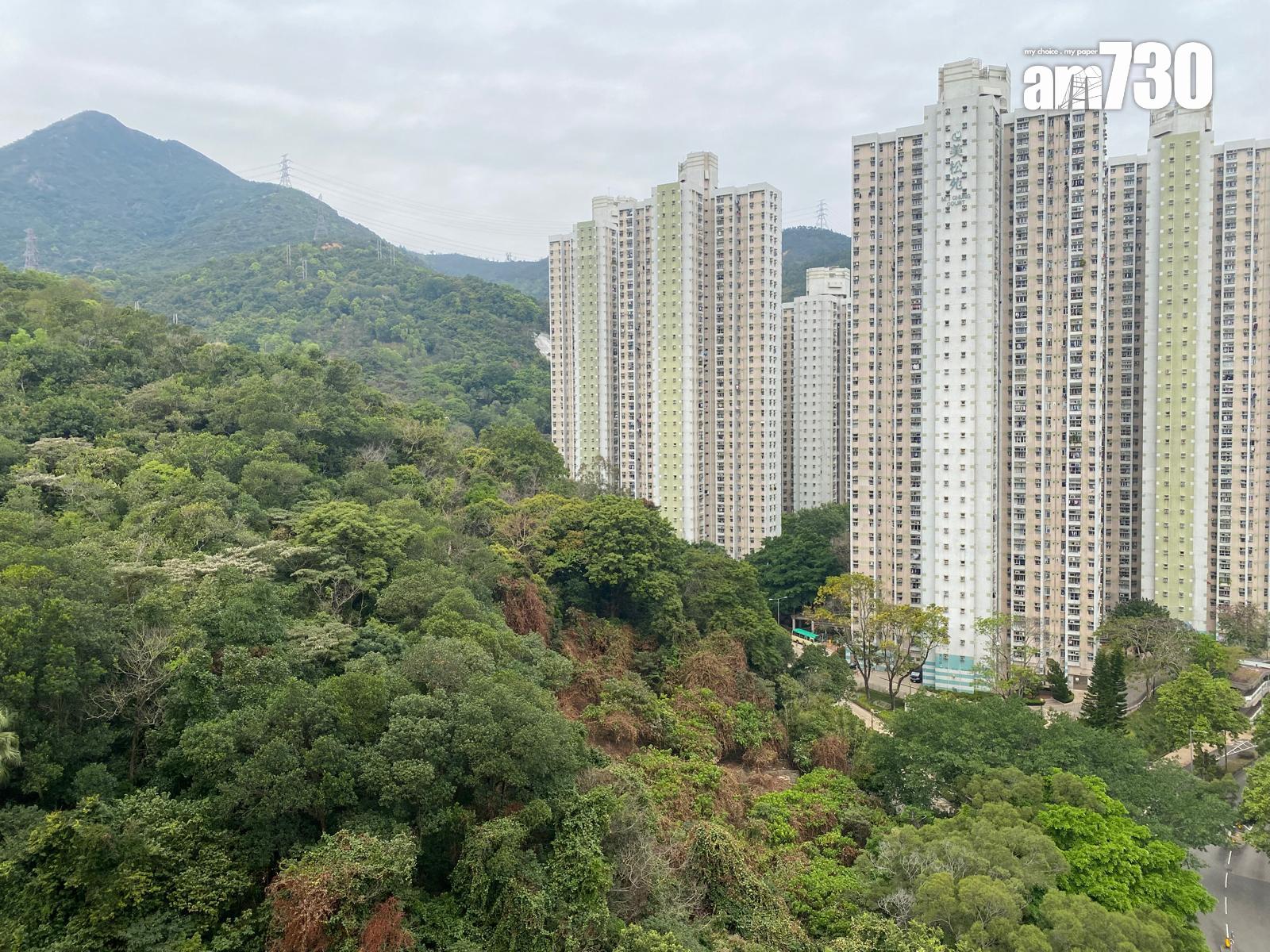 大圍美柏苑靚裝兩房居二價433萬沽 8年升值逾六成(有圖)|二手居屋成交