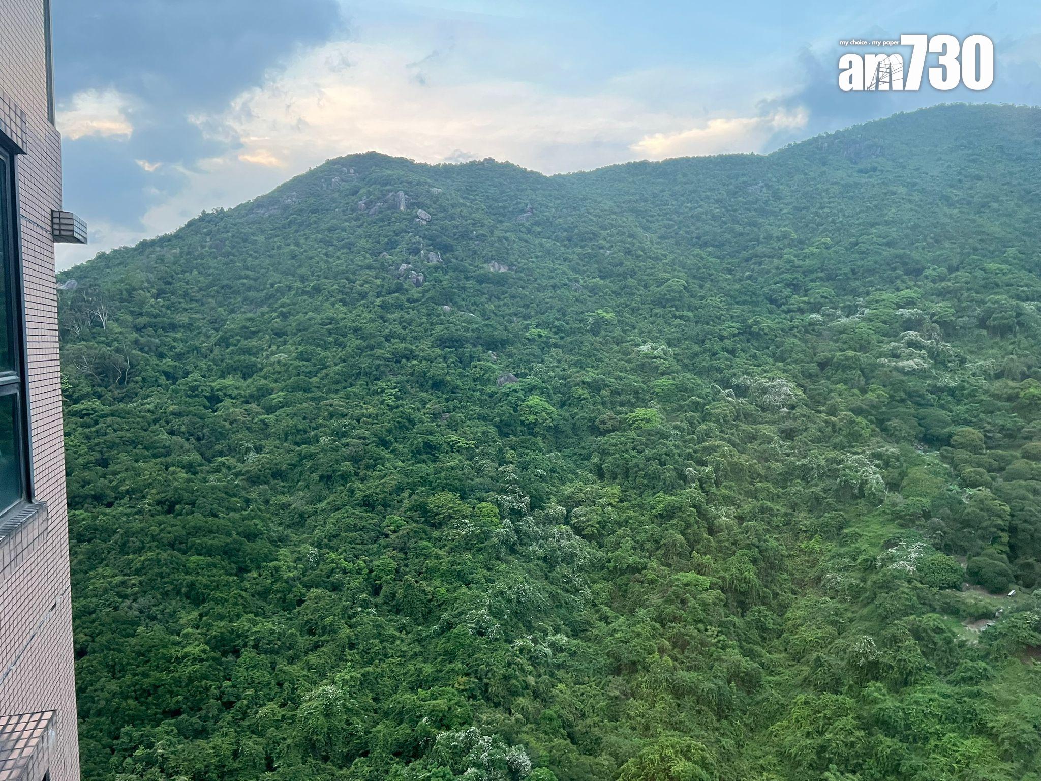 沙田帝堡城三房連錄成交 高層山景戶放盤一個月895萬易主(有圖)|二手市況