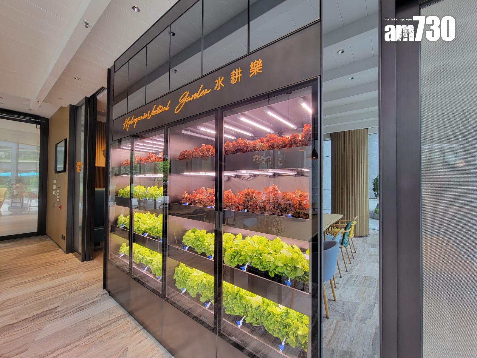 NOVO LAND會所壓軸部分曝光!88項設施全面落成 逾6米高跨層滑梯(多圖有片)|屯門新盤