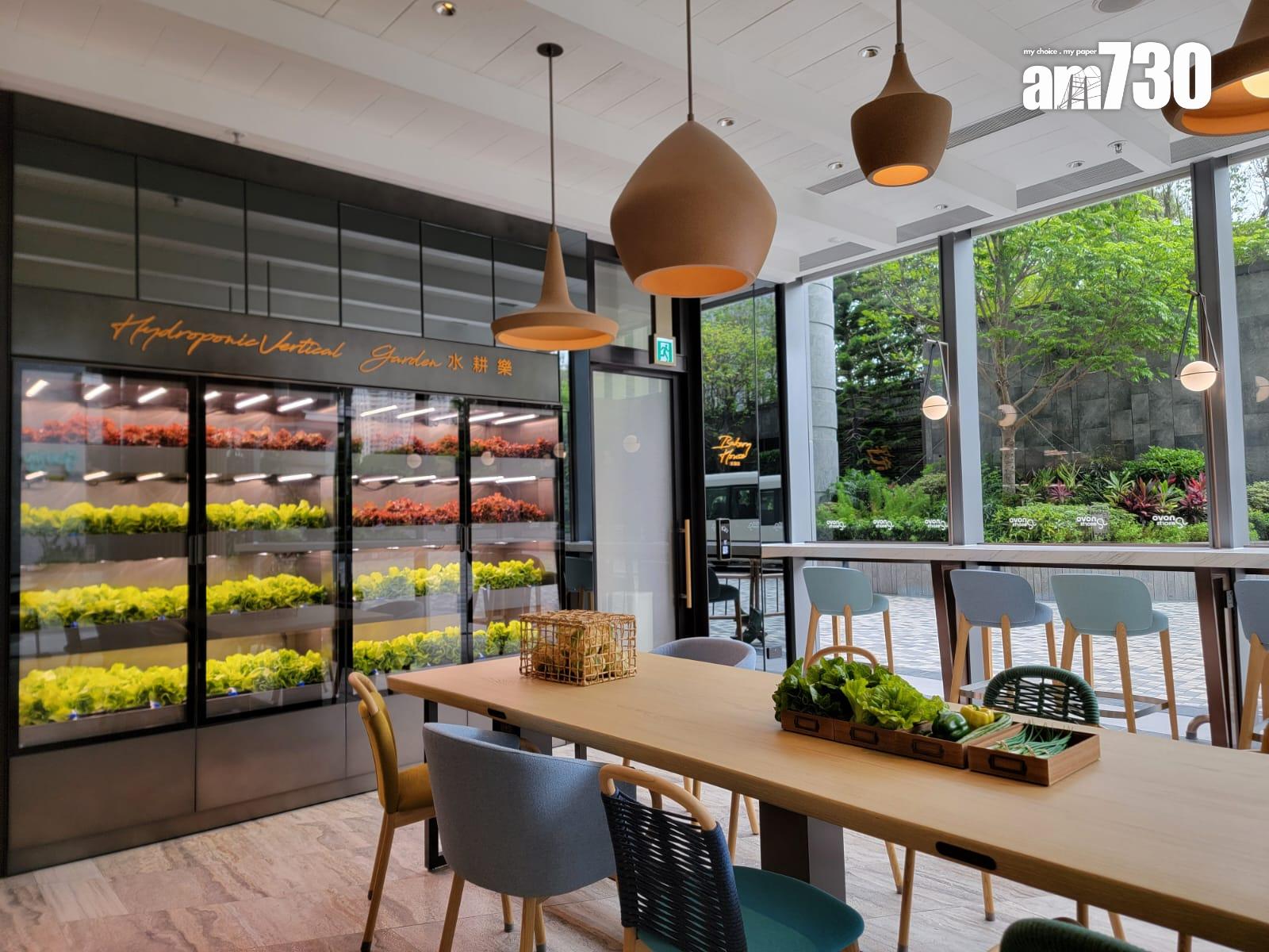 NOVO LAND會所壓軸部分曝光!88項設施全面落成 逾6米高跨層滑梯(多圖有片)|屯門新盤