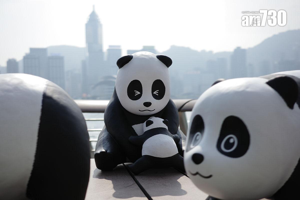 2024年在港舉行的「PANDA GO!香港遊」活動。(資料圖片/吳康琦攝)