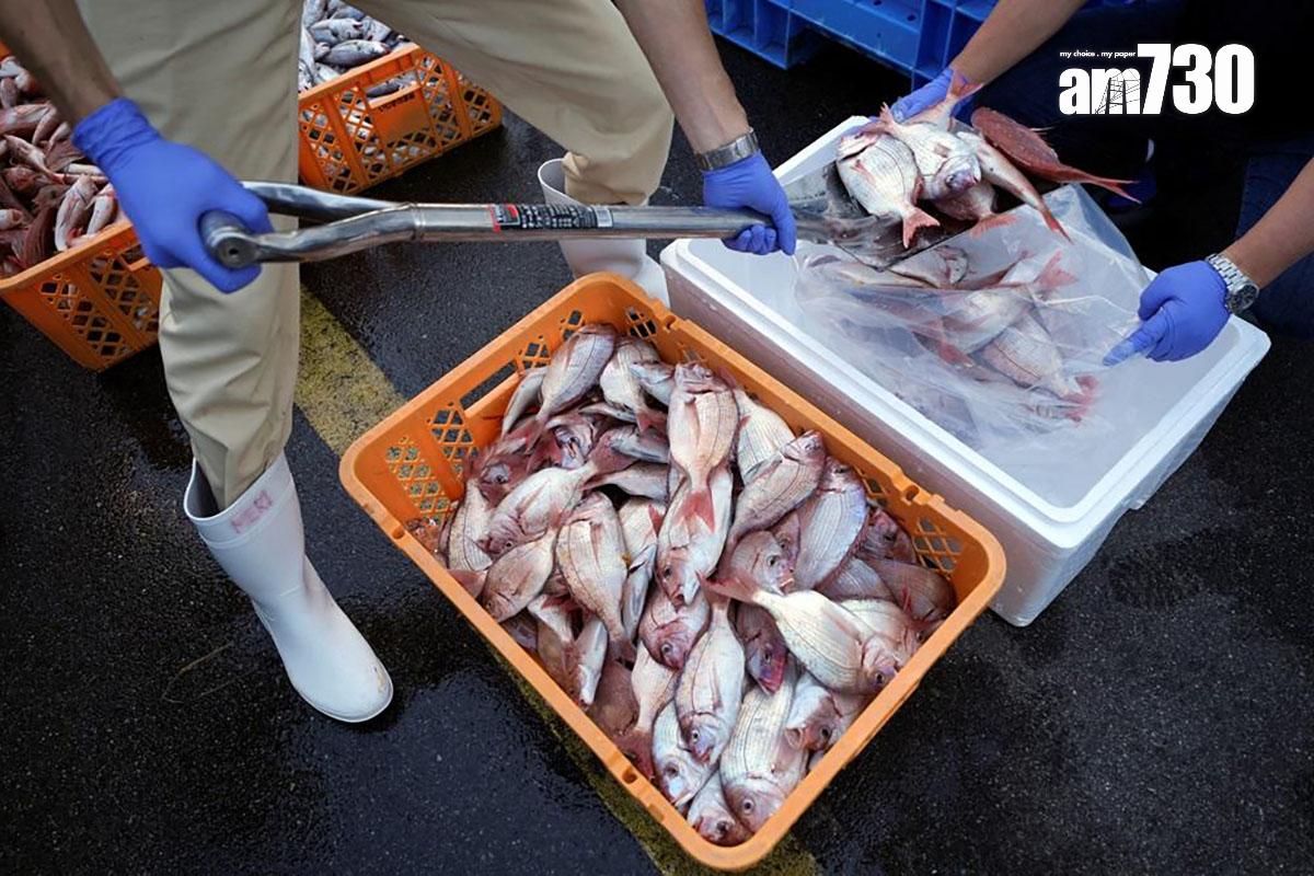 中方即日起有條件恢復日本部分地區的水產品進口。(資料圖片/路透社)