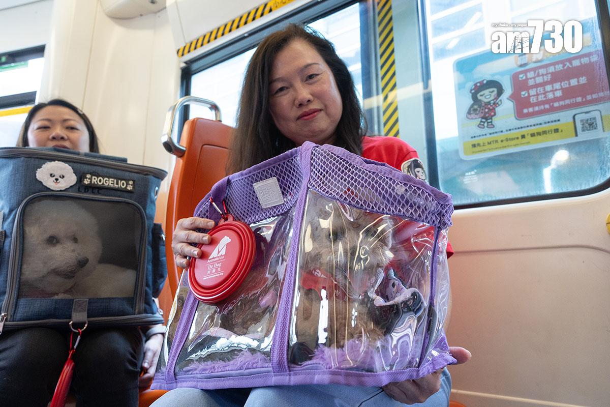 港鐵在輕鐵推行的「貓狗同行」試行計劃,容許主人在指定條件下攜帶一隻貓或狗乘搭全綫輕鐵。(資料圖片/蘇文傑攝)