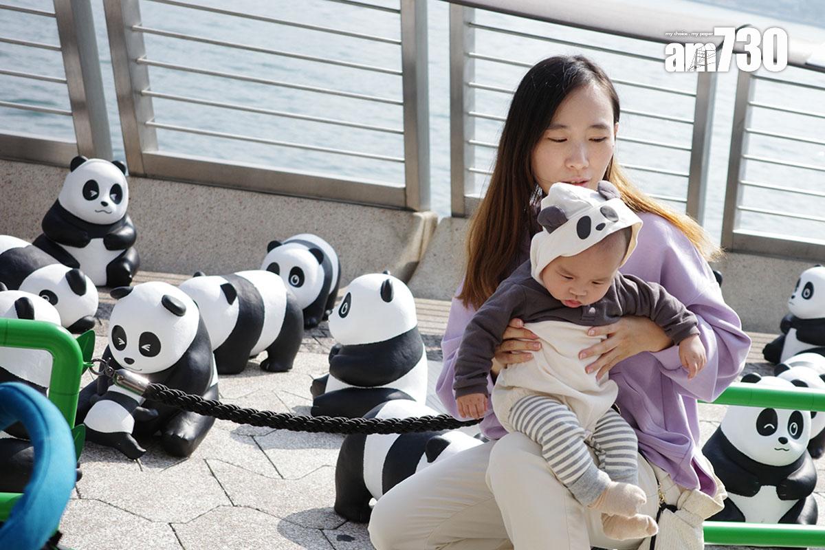 2024年在港舉行的「PANDA GO!香港遊」活動。(資料圖片/吳康琦攝)