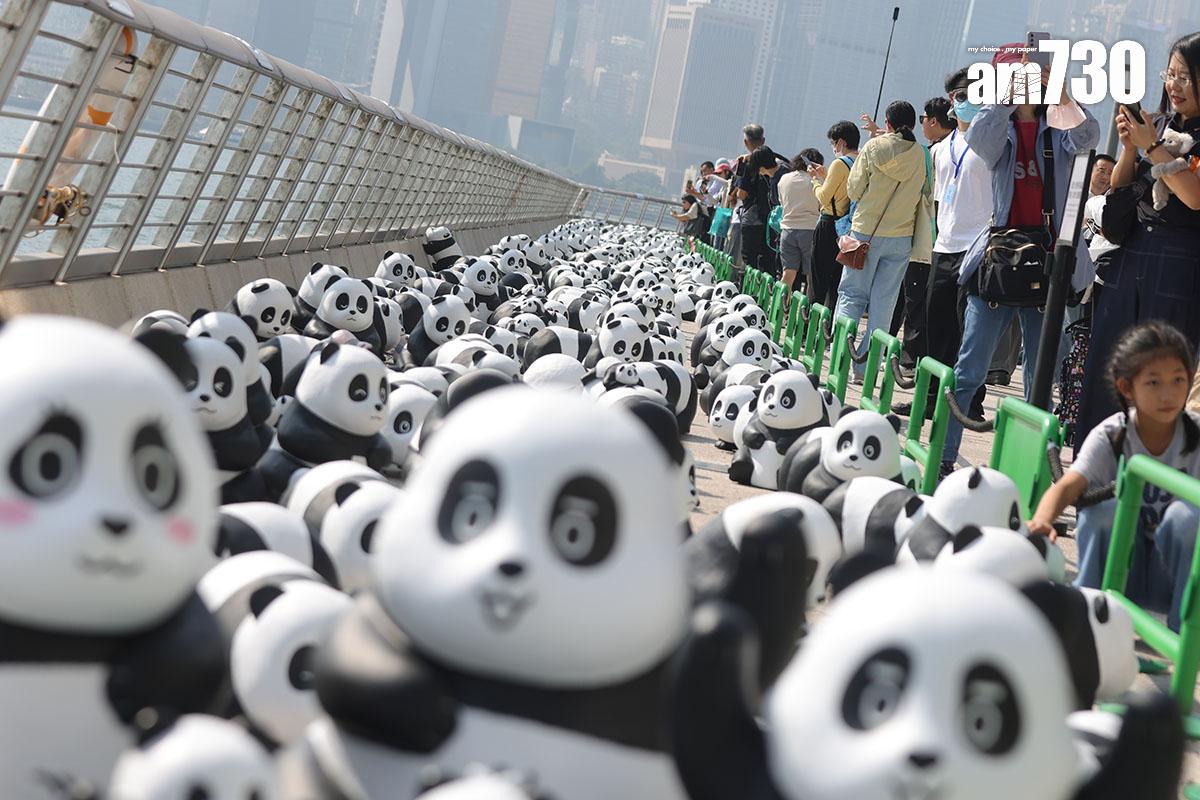 2024年在港舉行的「PANDA GO!香港遊」活動。(資料圖片/吳康琦攝)