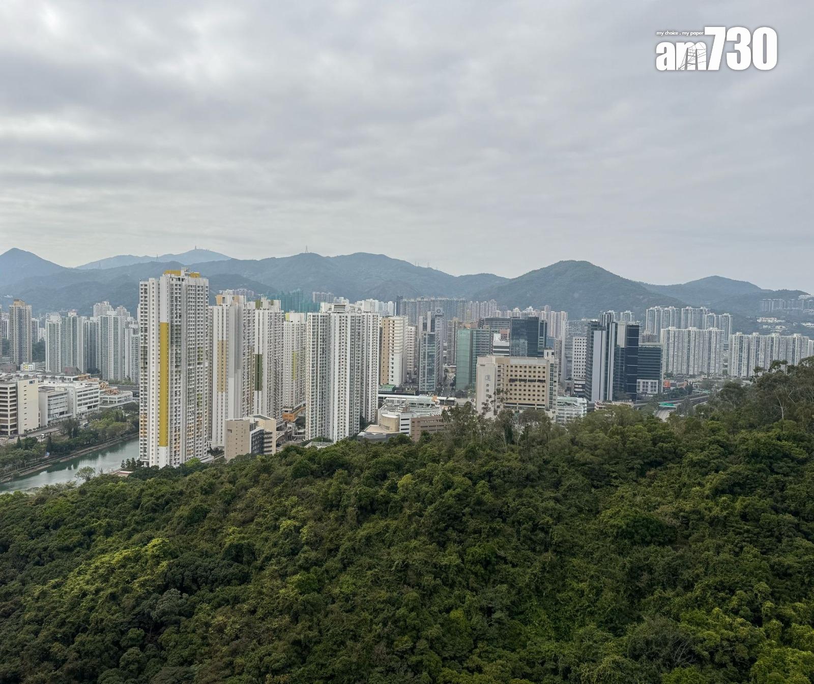 沙田帝堡城業主短炒獲利 不足兩年減價甩手仍賺48萬(多圖)|二手樓成交