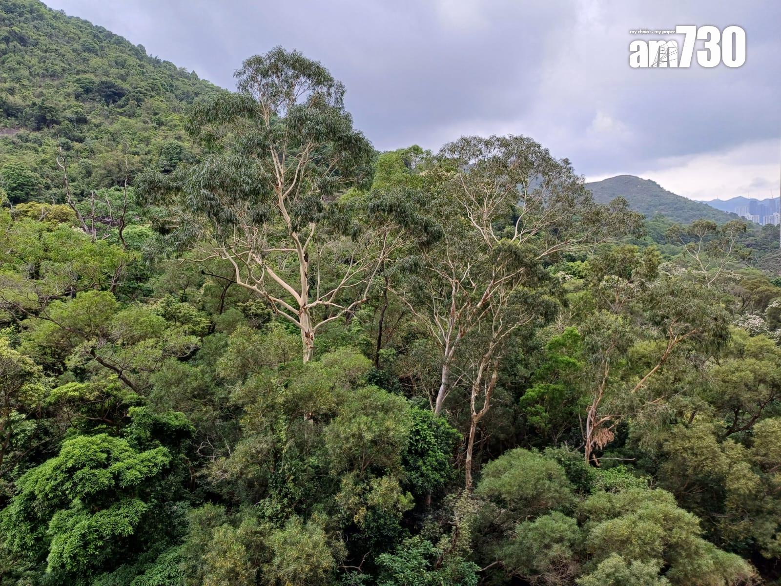 沙田居屋搶手!園景三房放盤2個月570萬自由市場價沽(有圖)|二手市況