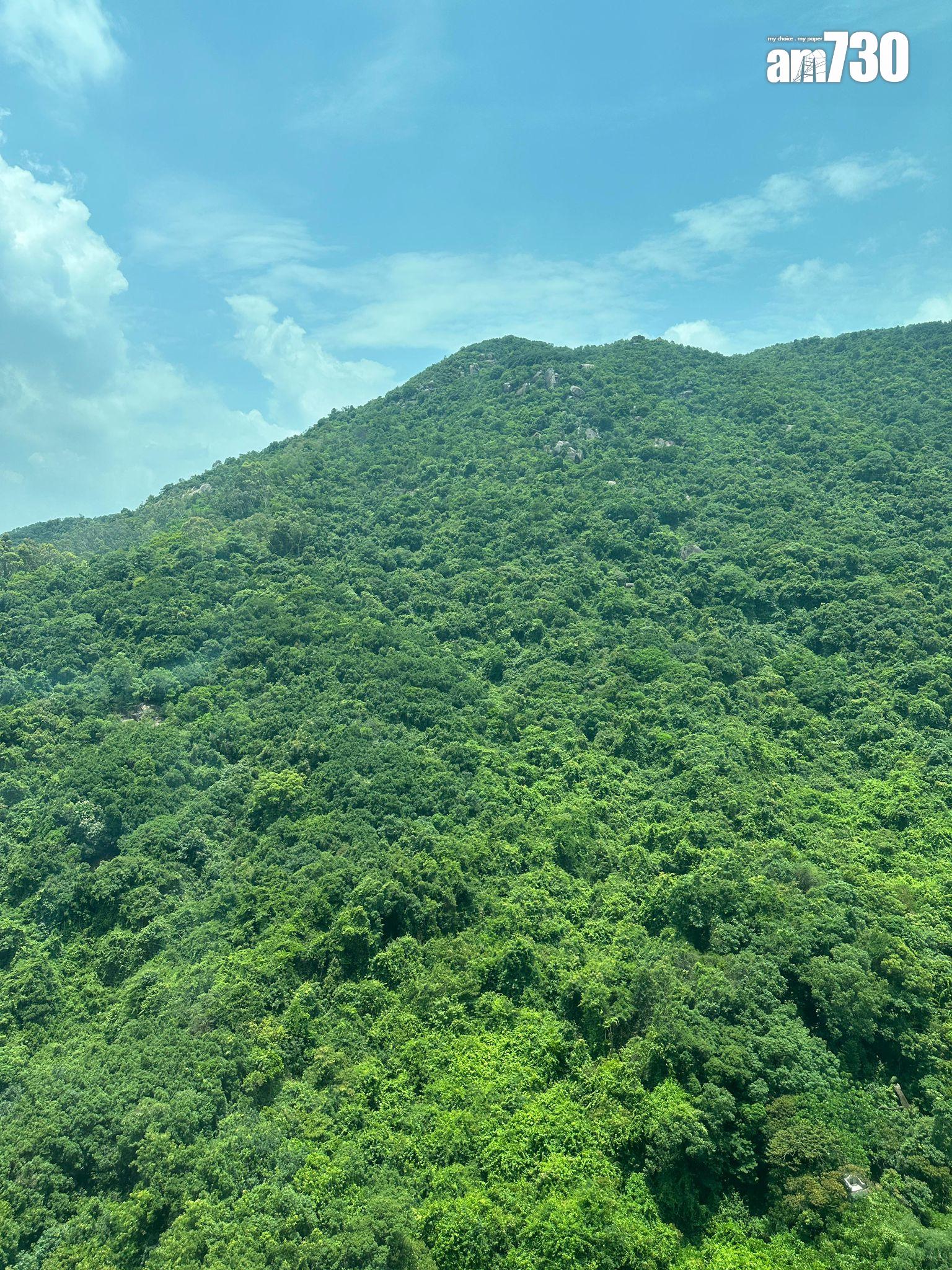 業主肯減價吸客!沙田帝堡城三房套勁劈261萬甩手 呎價不足1.1萬(有圖)|二手樓成交