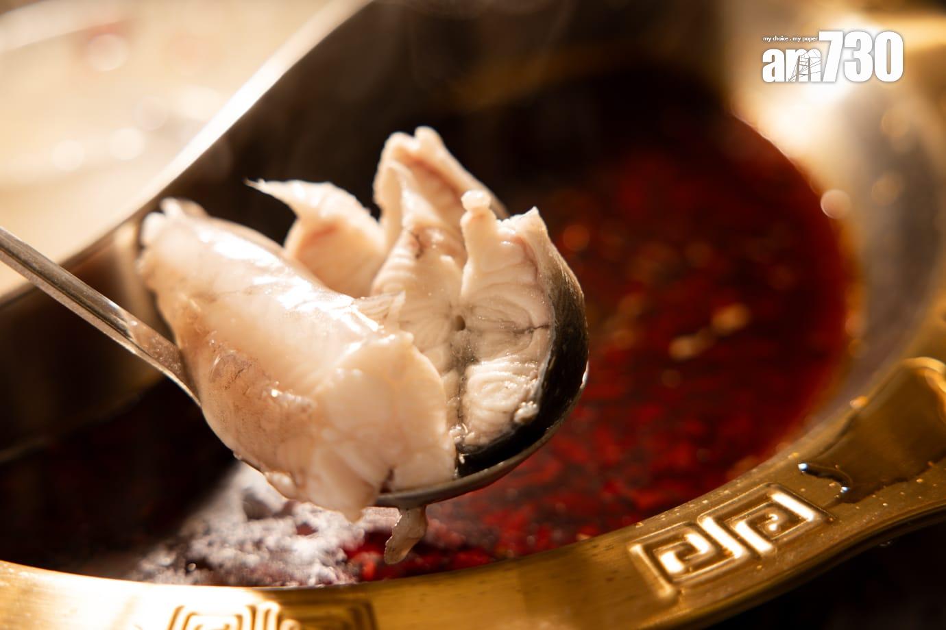 白鱔肥美肉厚,肉質富彈性;九肚魚也厚肉,魚肉十分細嫩柔滑,不過多骨需小心進食。(周令知攝)