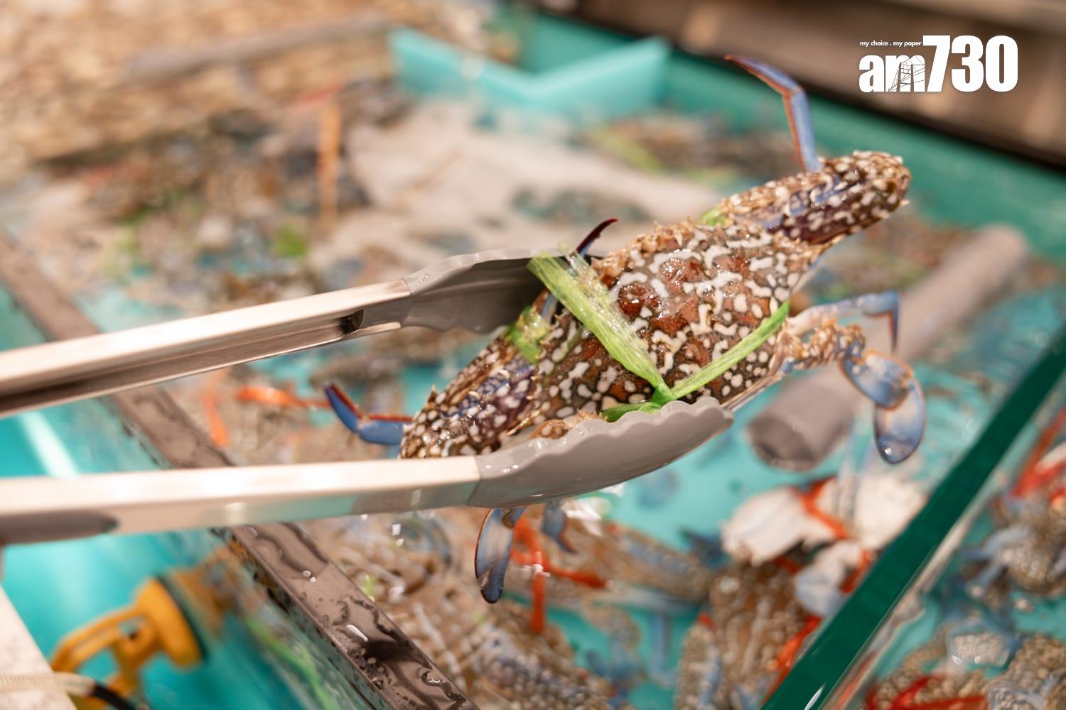 放題會按時令供應藍花蟹或紅花蟹。(周令知攝)