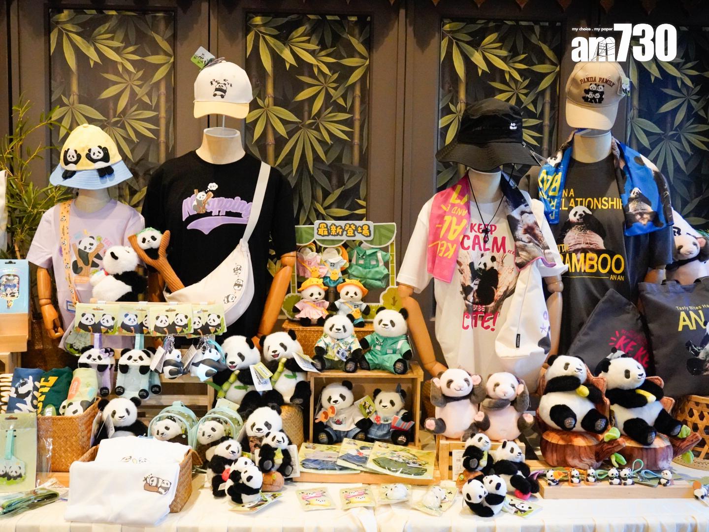 海洋公園下月會為大熊貓龍鳳胎慶祝一歲生日。(周令知攝)