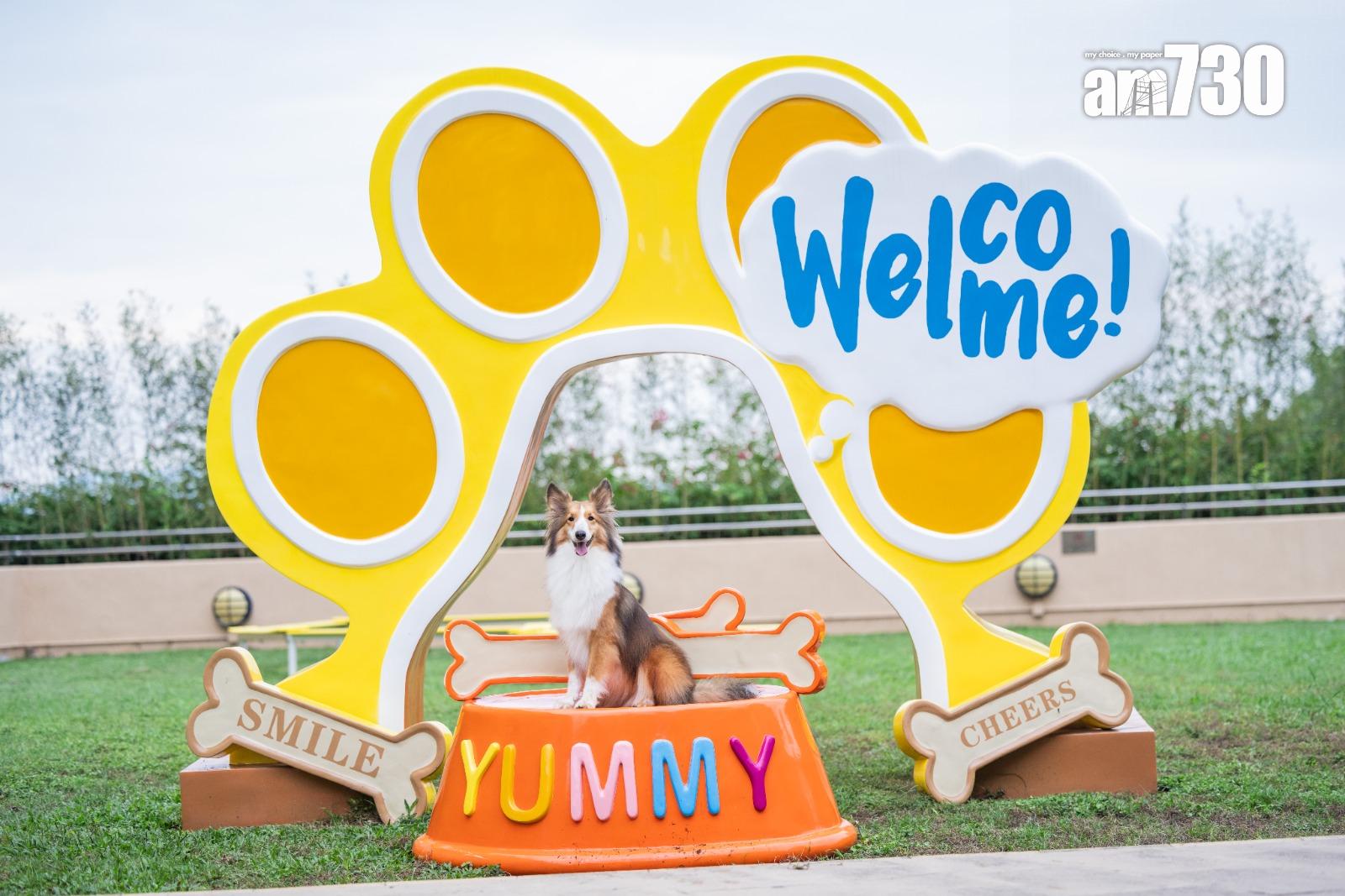 數碼港「PAWsome Day週末系列」 7月起每月登場