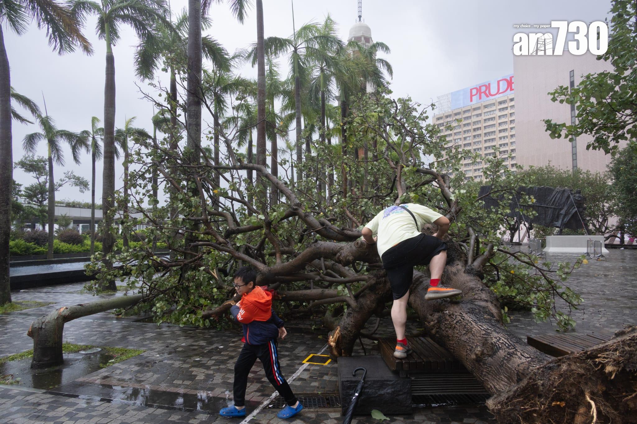 市民暴風雨下外出追風。(蘇文傑攝)