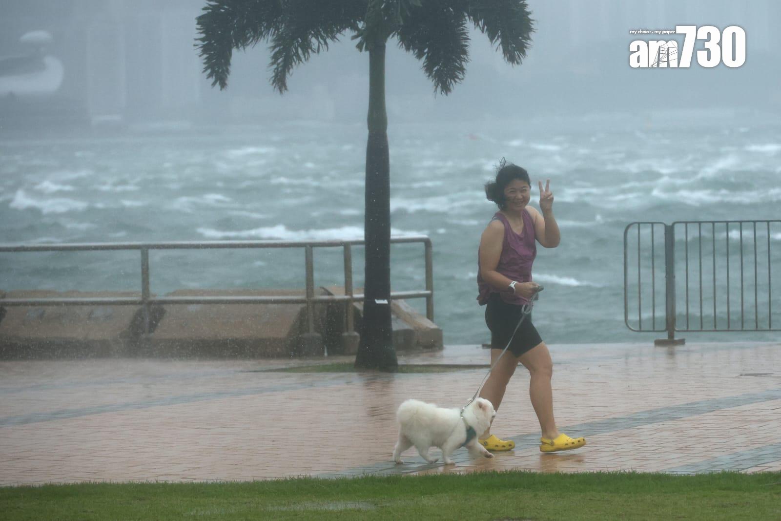 有市民帶同寵物雨中散步。(林俊源攝)