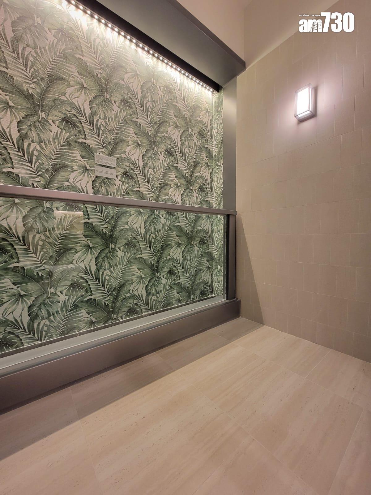 半山名滙示範單位|394呎交樓標準兩房戶 高樓底間隔實用(多圖有片)|西營盤新盤