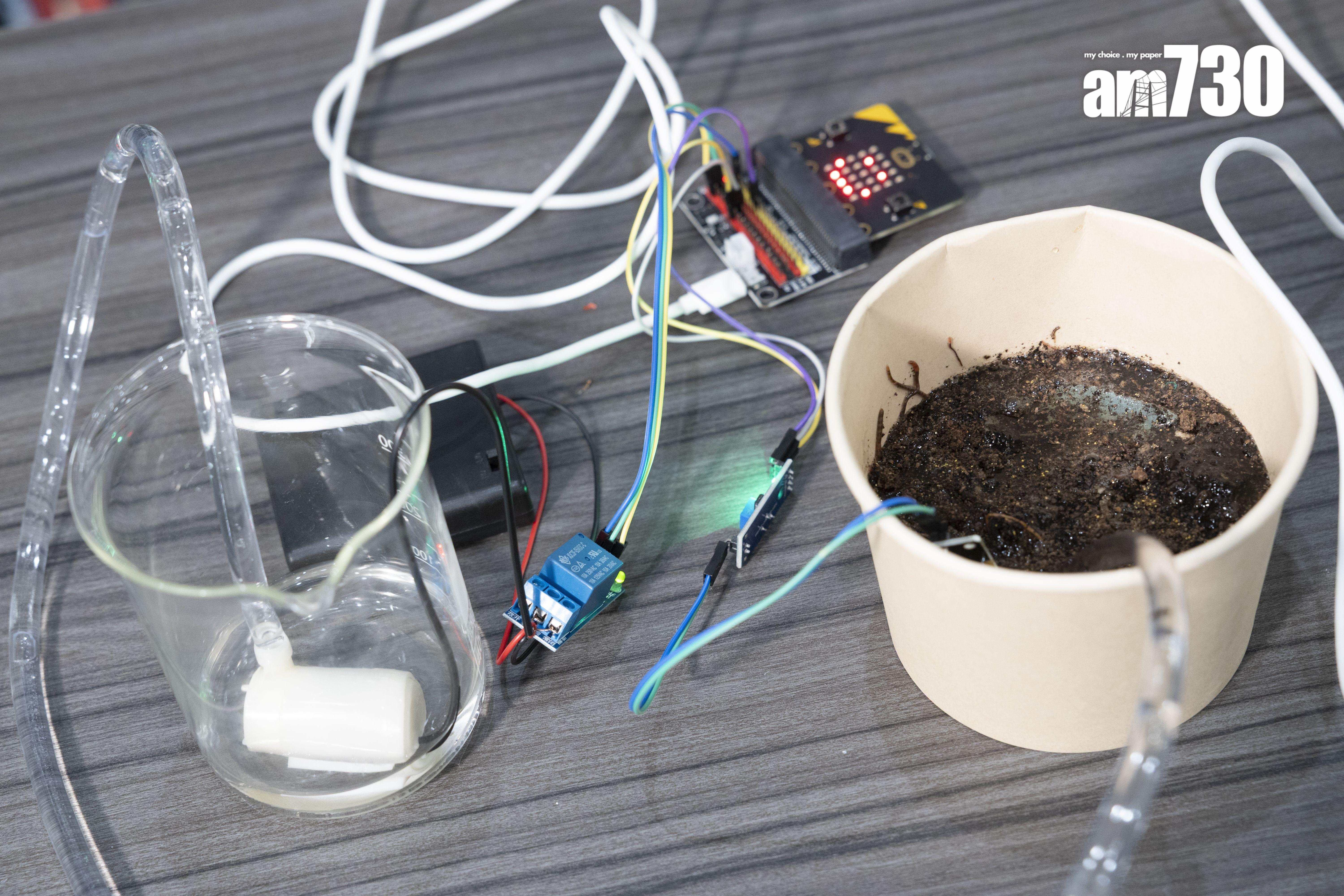 老師透過「智能盆栽澆水系統」將微型電腦Micro:bit 用作編程和硬件控制,把看似離地的STEM概念變得「親民」。 (蘇文傑攝)