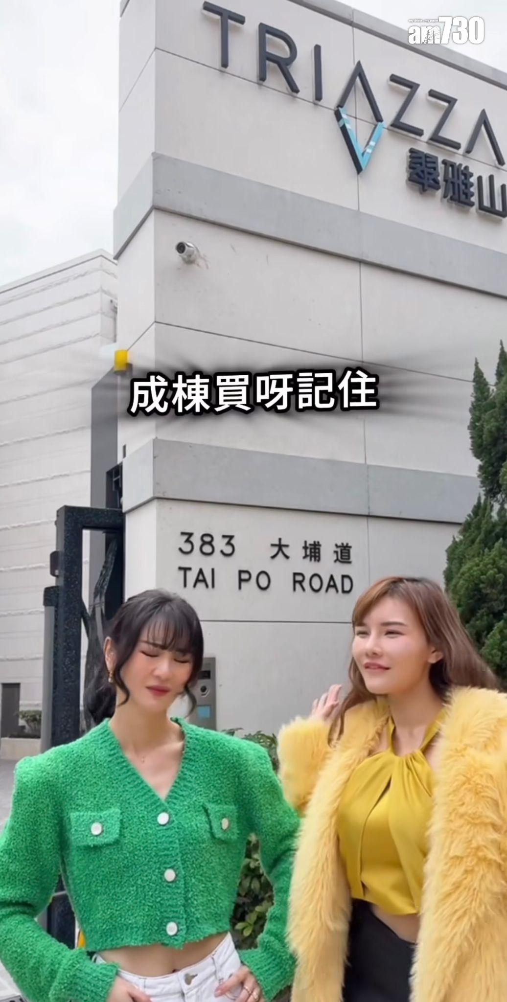 五索孖裕美瞓身代言馬清鏗旗下長沙灣翠雅山 估值較年前跌27%