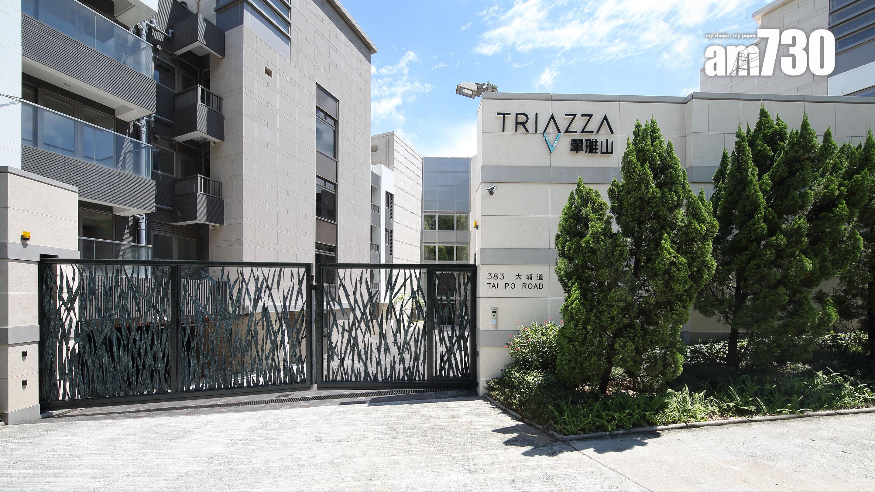 五索孖裕美瞓身代言馬清鏗旗下長沙灣翠雅山 估值較年前跌27%