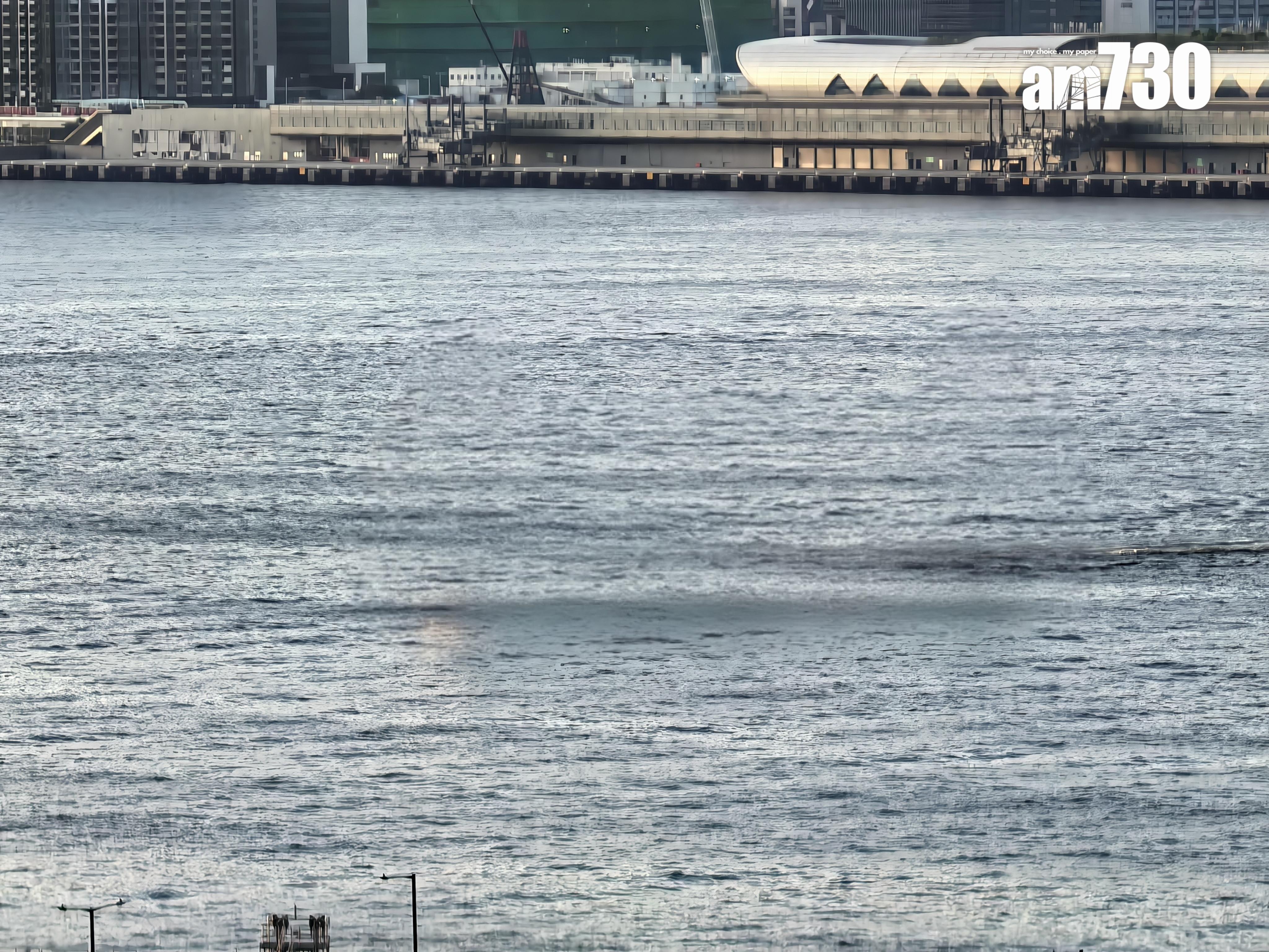 HUAWEI Pura 80 Pro AI消除後效果。