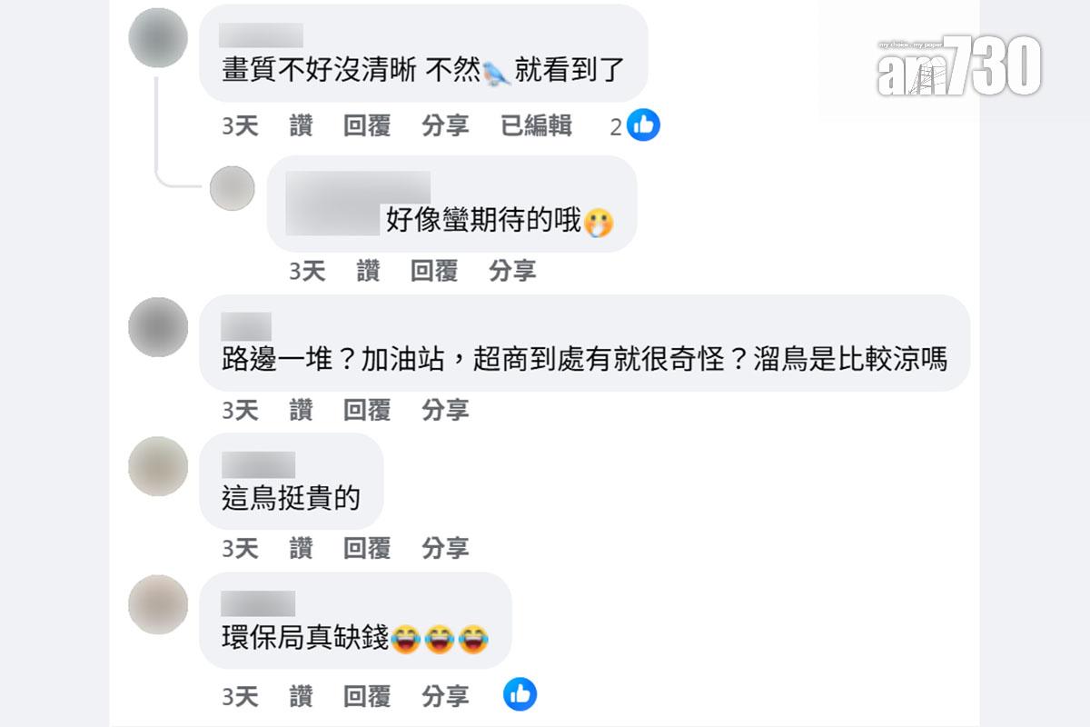 嘉義縣環保局向隨處便溺男子發出的告票,附有事發一刻特寫和貨車車牌,網民留言回應。(FB群組「嘉義綠豆大小事」截圖)